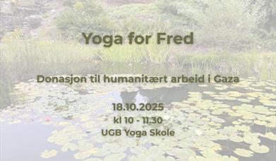 Yoga for Fred