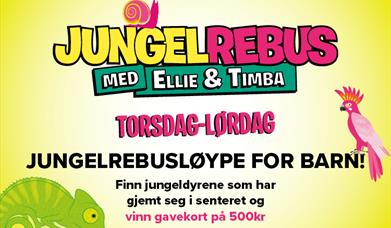 Jungelrebus Alti Bukerud