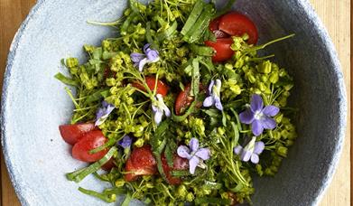 Lønneblomst i salat