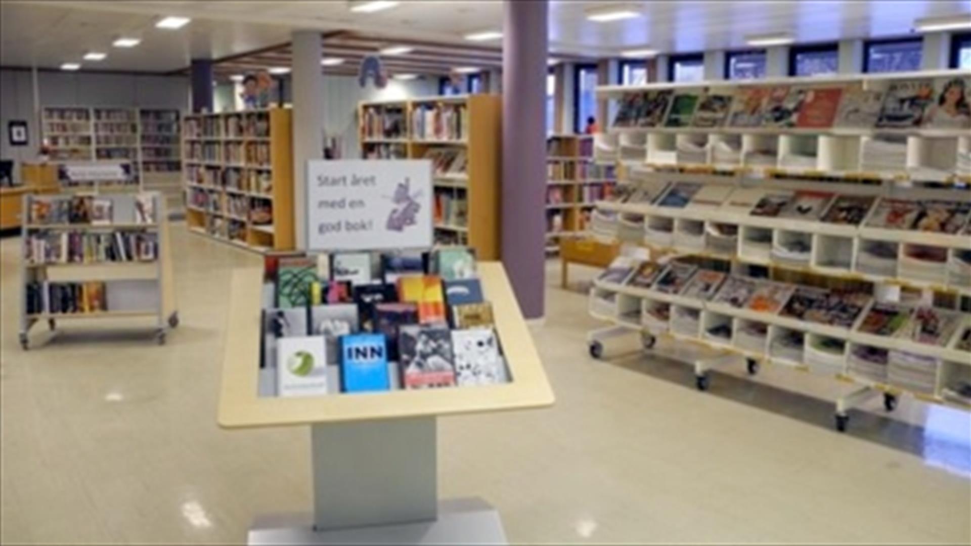 Hokksund bibliotek