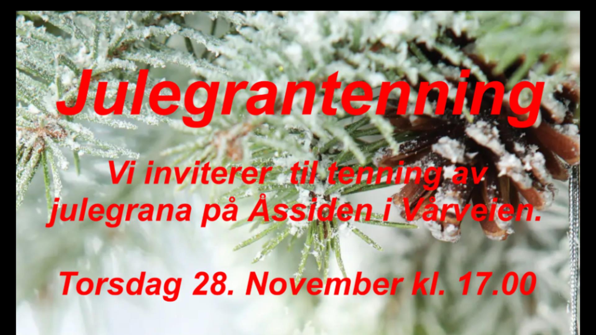 Julegrantenning på Åssiden