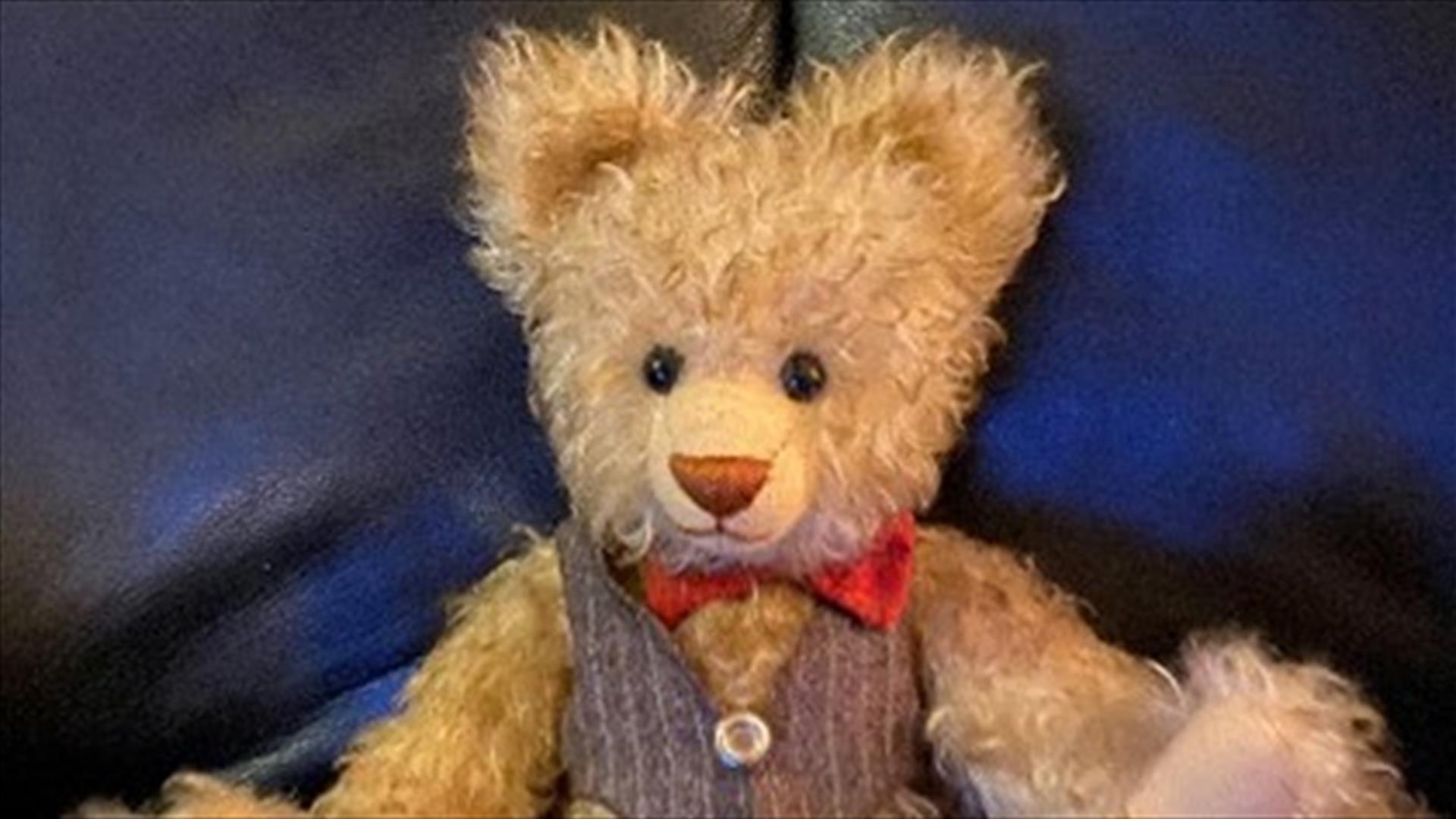 Teddybjørn