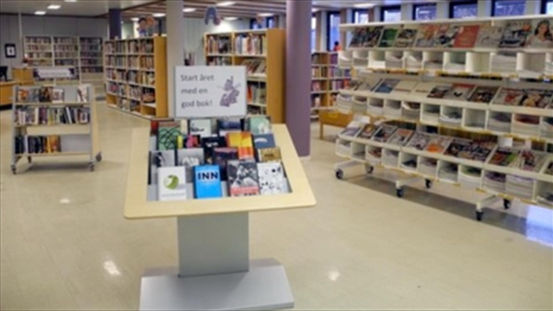 Hokksund bibliotek