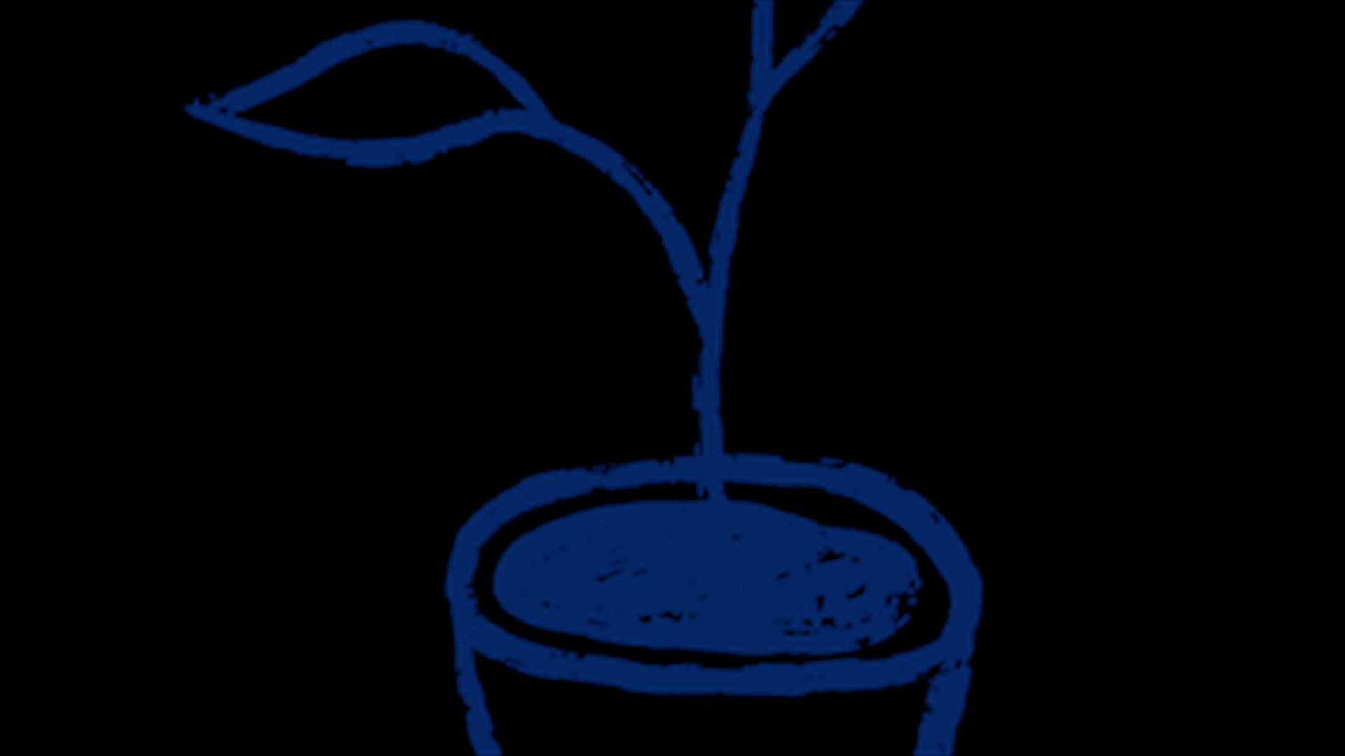 Strikkecafé