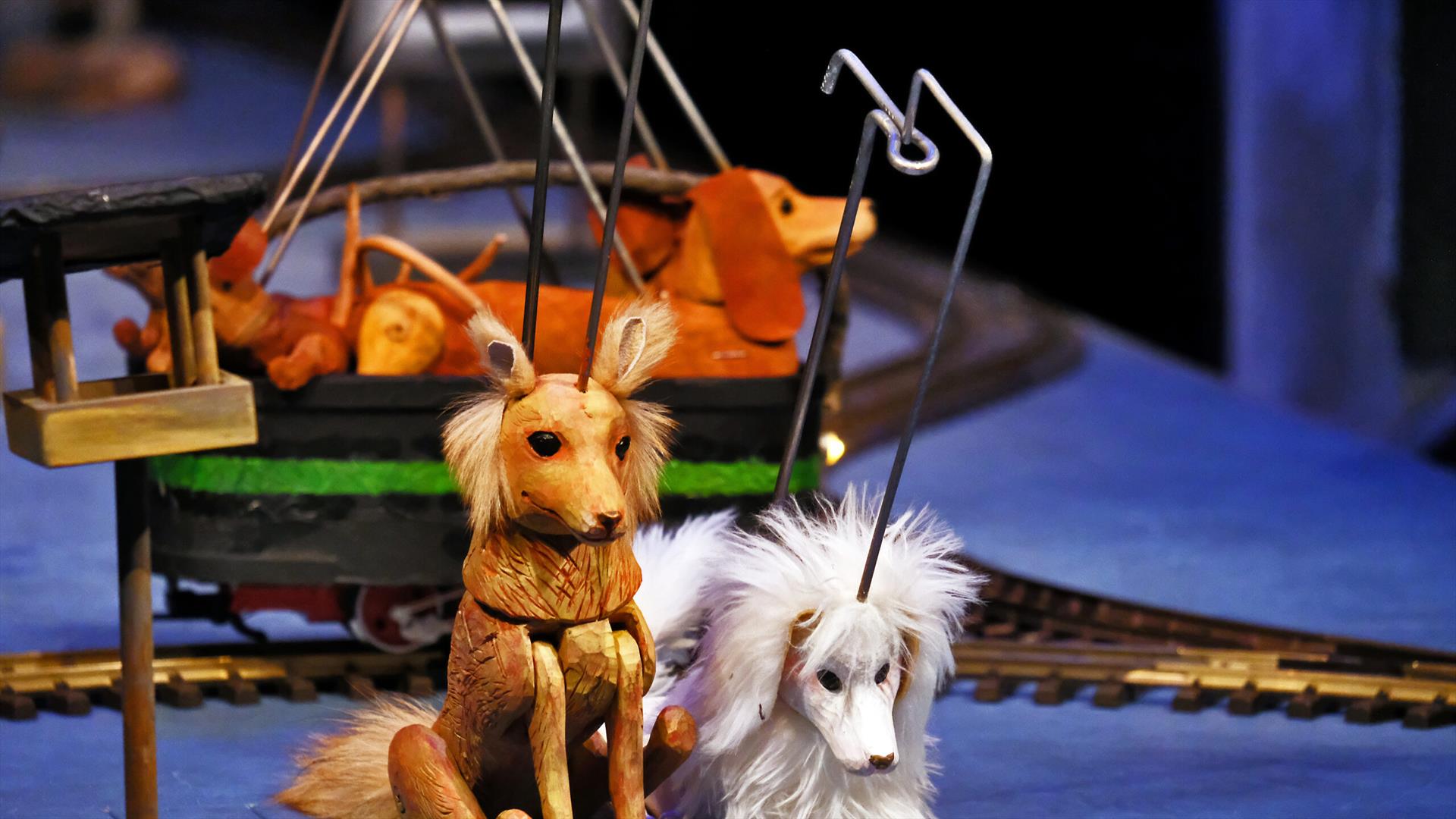 Choo, Choo, Whistle, Woof!
