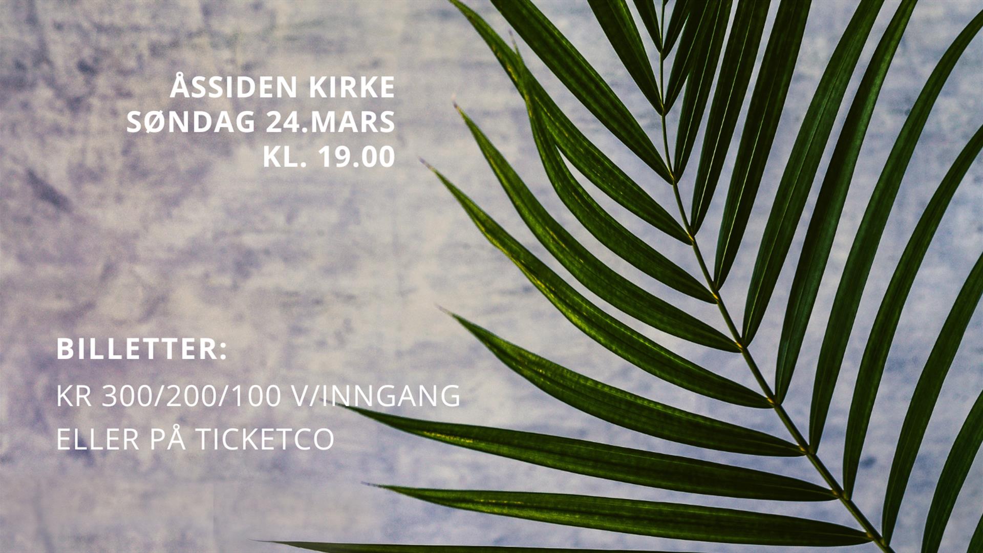 Bach på palmesøndag i Åssiden kirke