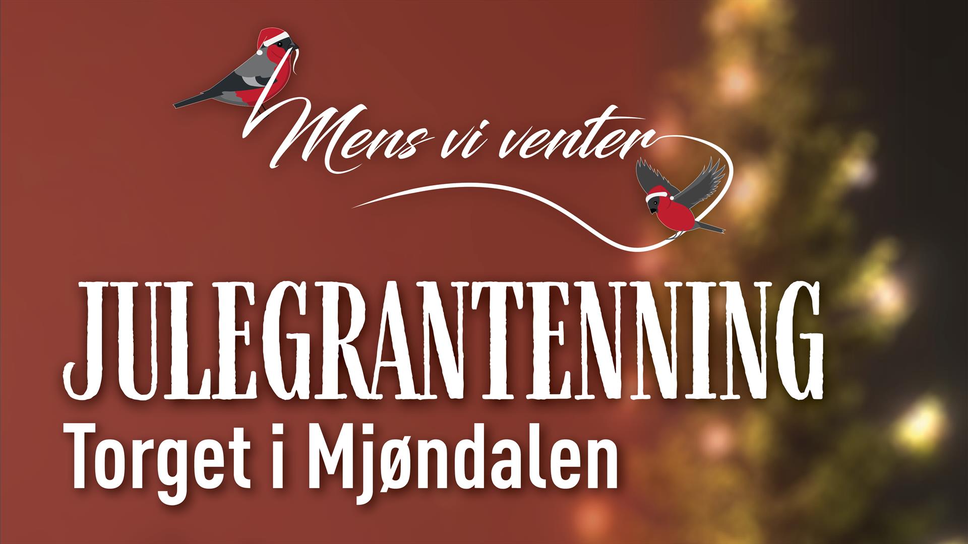 Julegrantenning i Mjøndalen