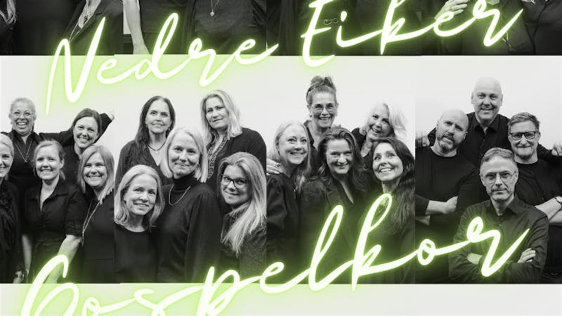Nedre Eiker gospelkor