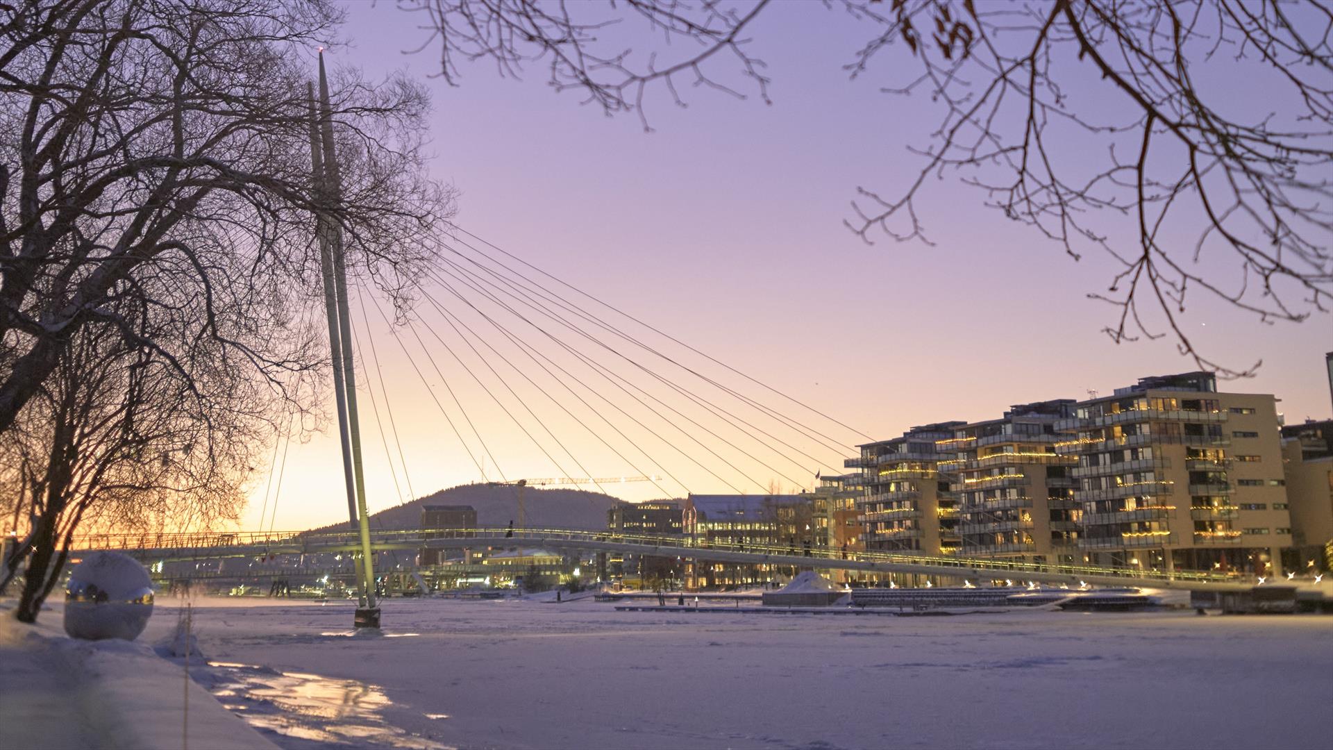 foto: Christian Bjørøen Vatum. Copyright: Drammen kommune