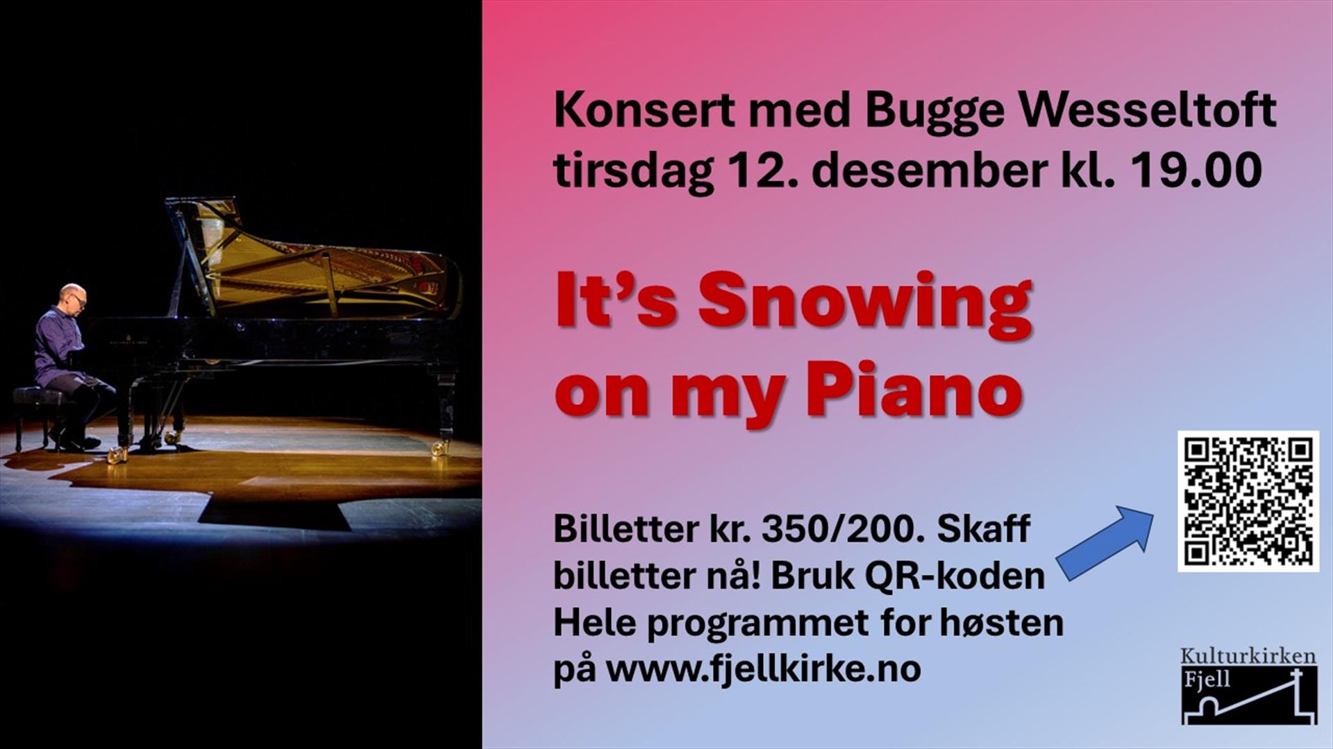 Bugge Wesseltoft i Kulturkirken Fjell