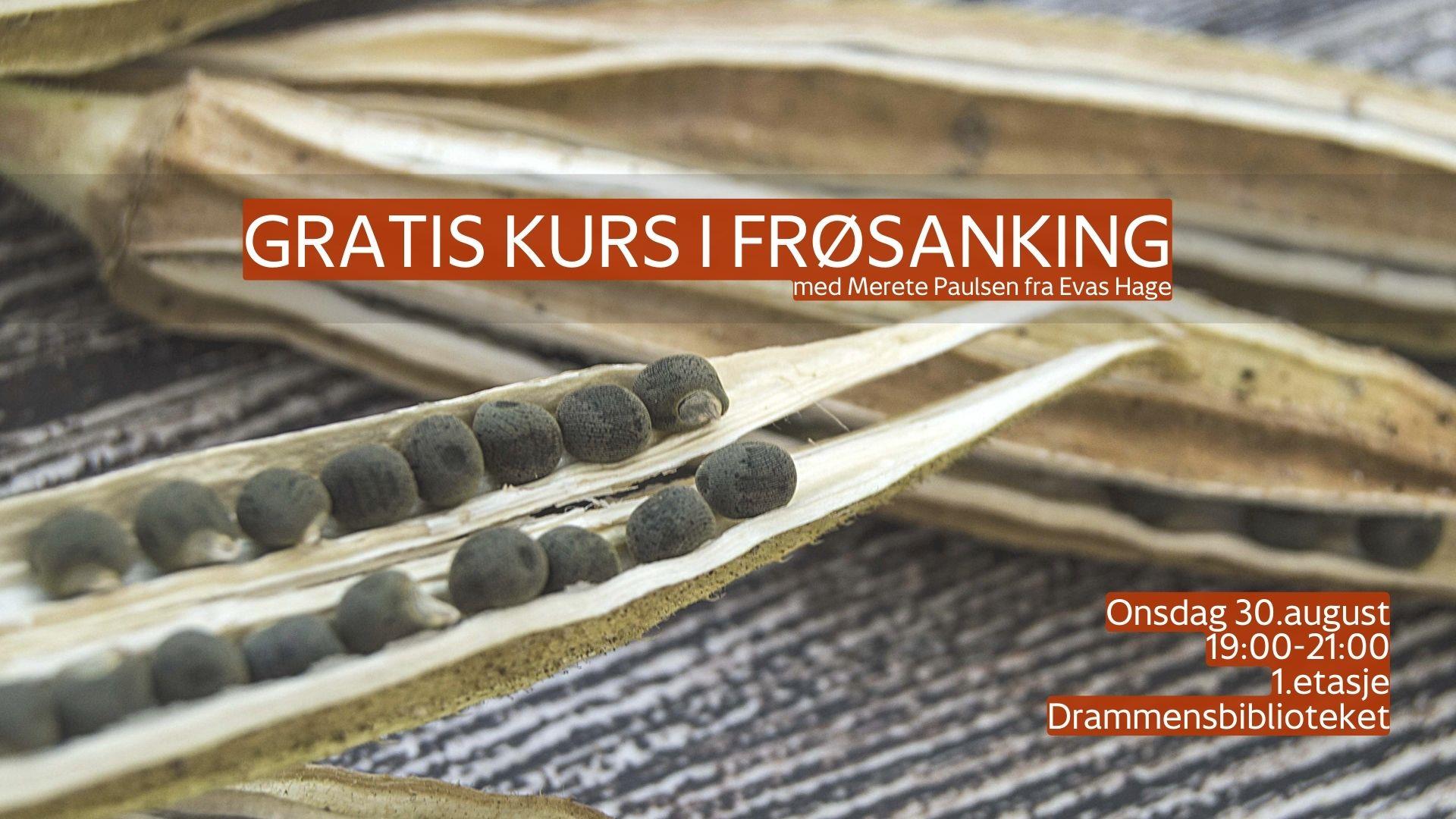 Kurs i frøsanking med Evas hage