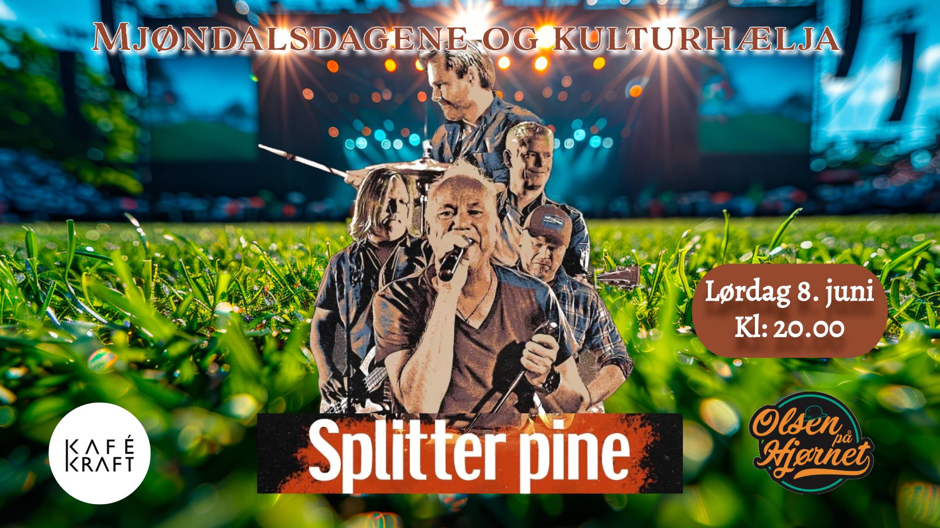 Splitter Pine