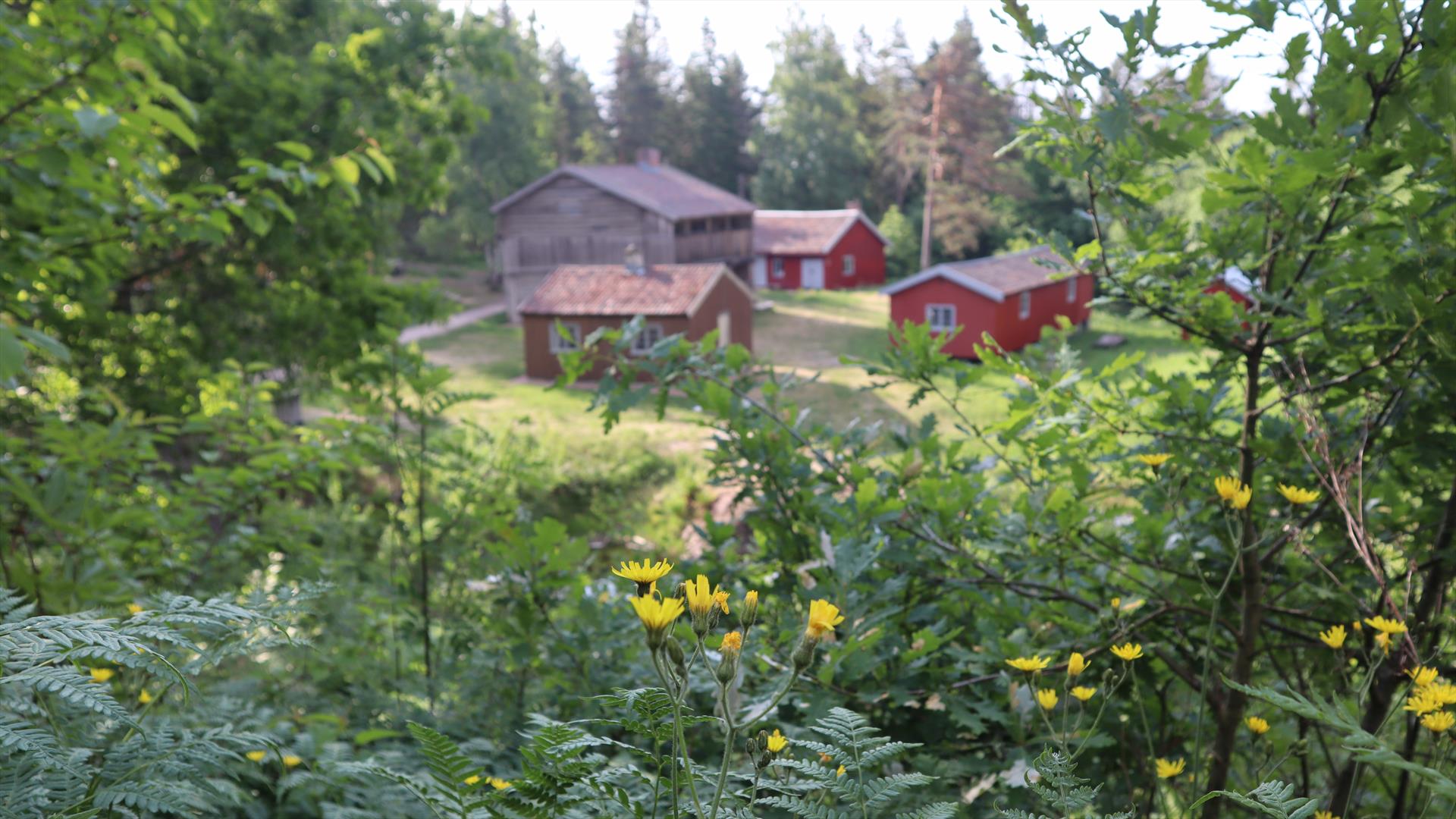 Friluftsmuseet