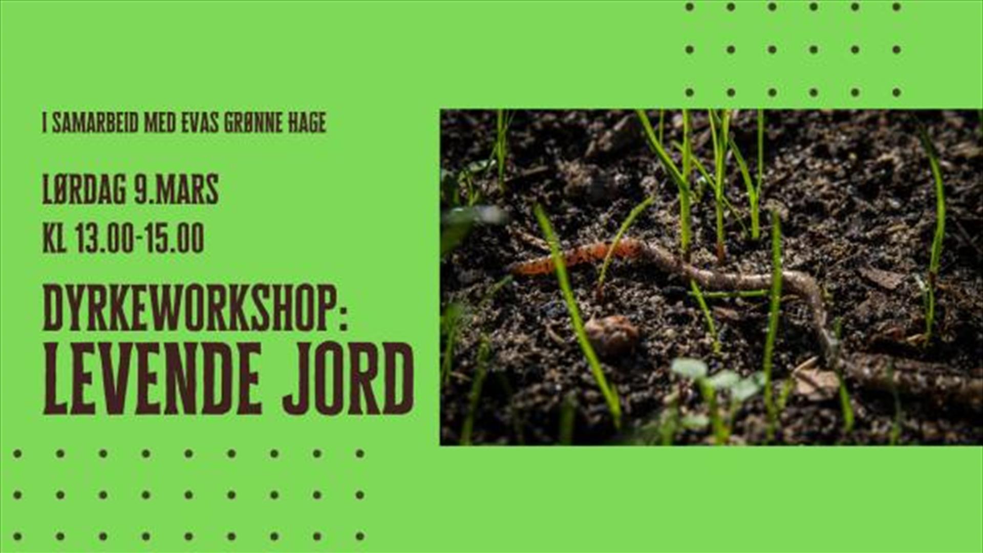 Dyrkeworkshop: Levende jord
