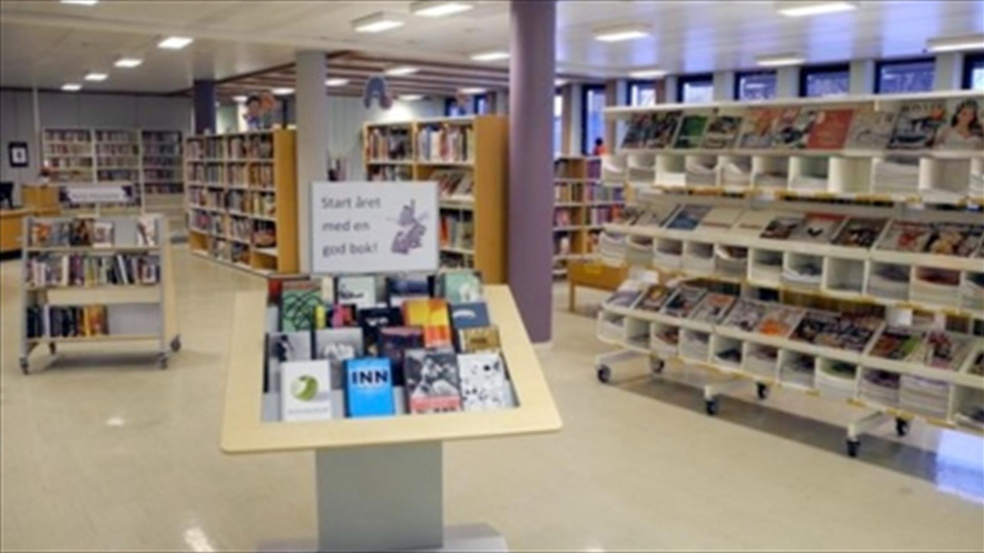 Hokksund bibliotek