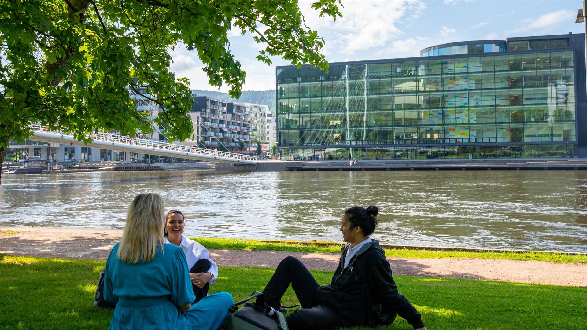 Nærnaturen ved elvebredden i Drammen