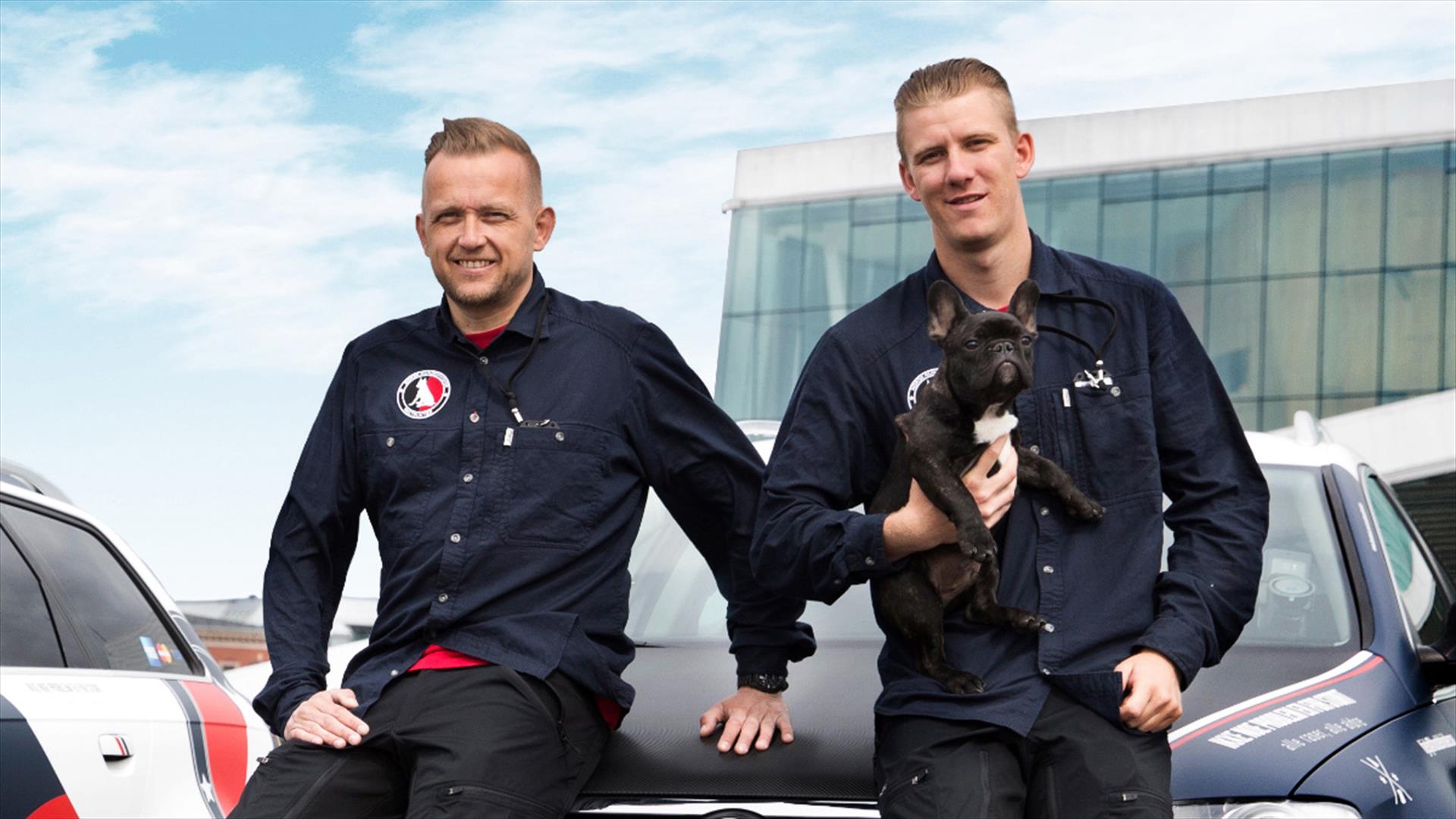 På 2 timer viser vi deg teknikker for å få en trygg og rolig hund.
