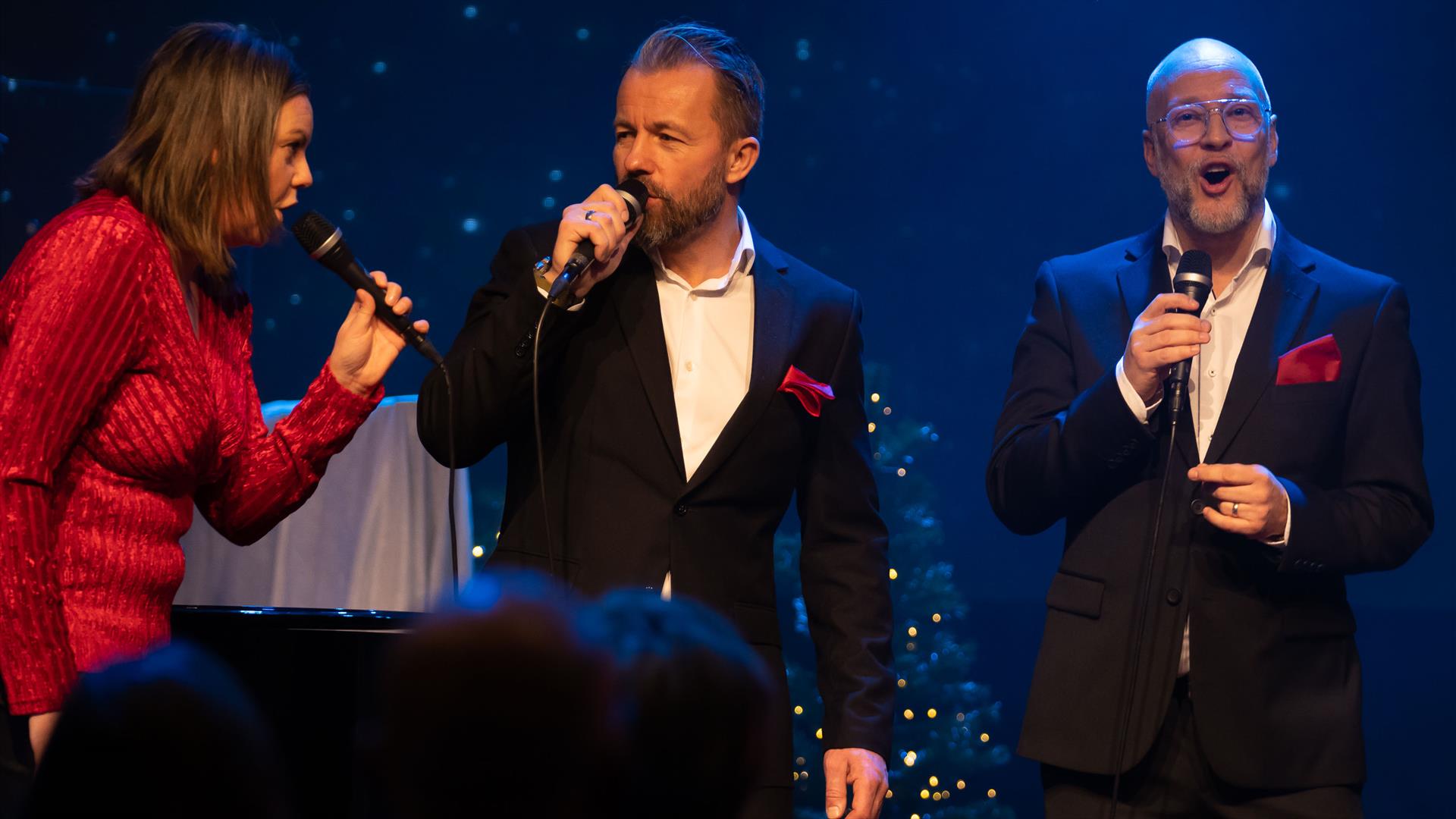 Stjernedryss i advent