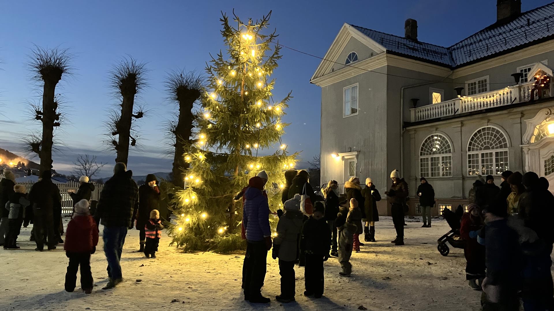 Julegrana tennes på Austad Gård