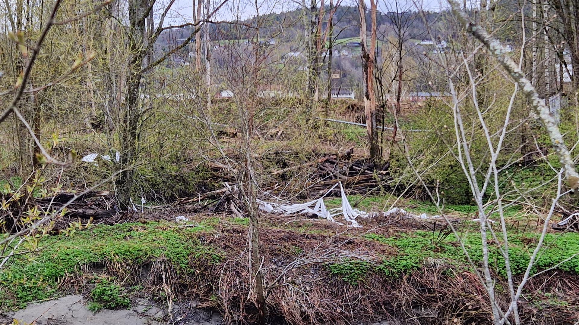 Plast ved Lierelva i 2024