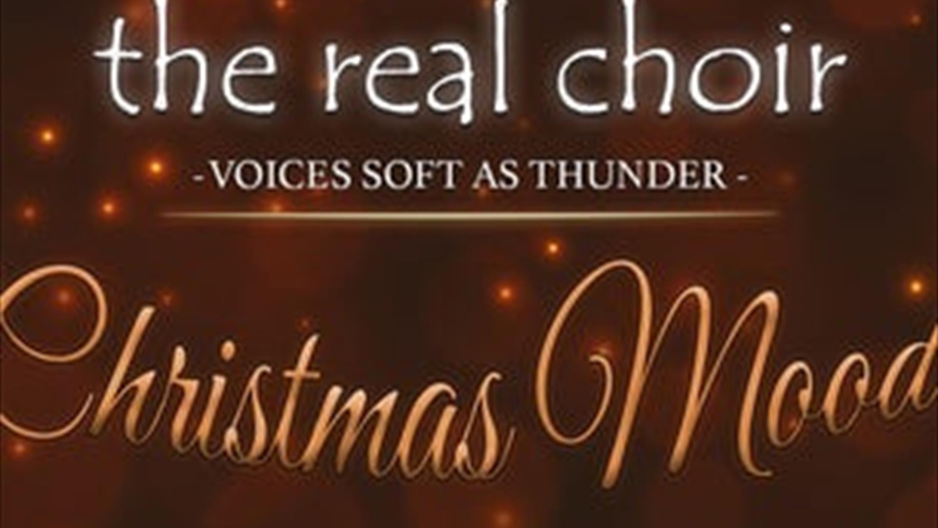 The Real Choir - Lite og stort