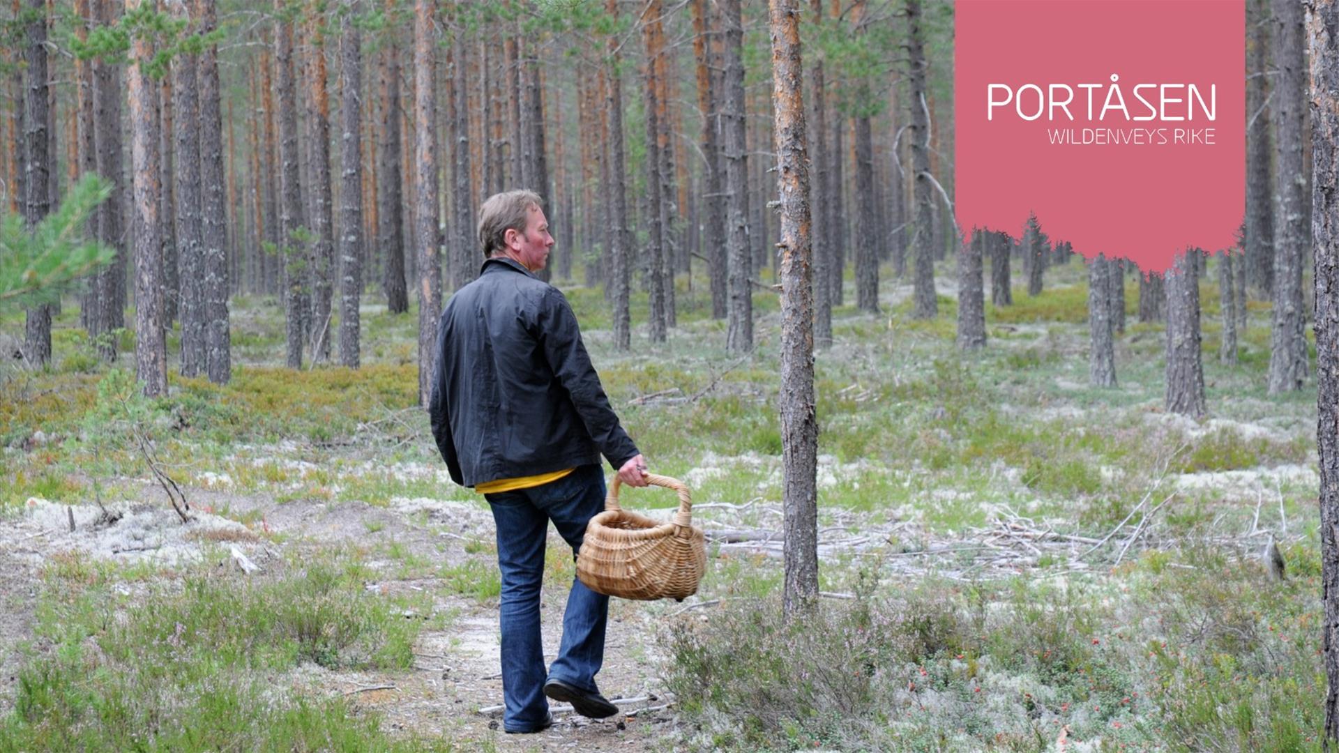 Soppvandring med Øivind Hånes