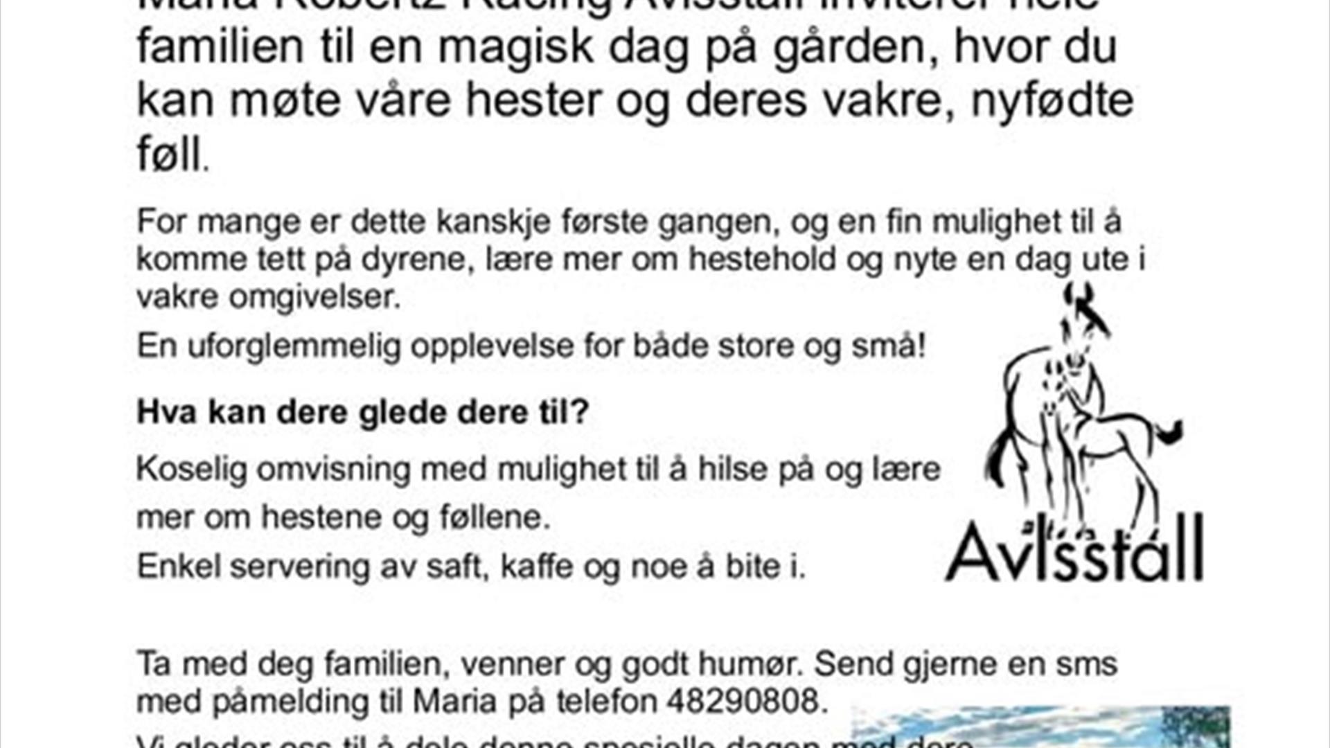 Åpen Føllgård 15.juni 12-15