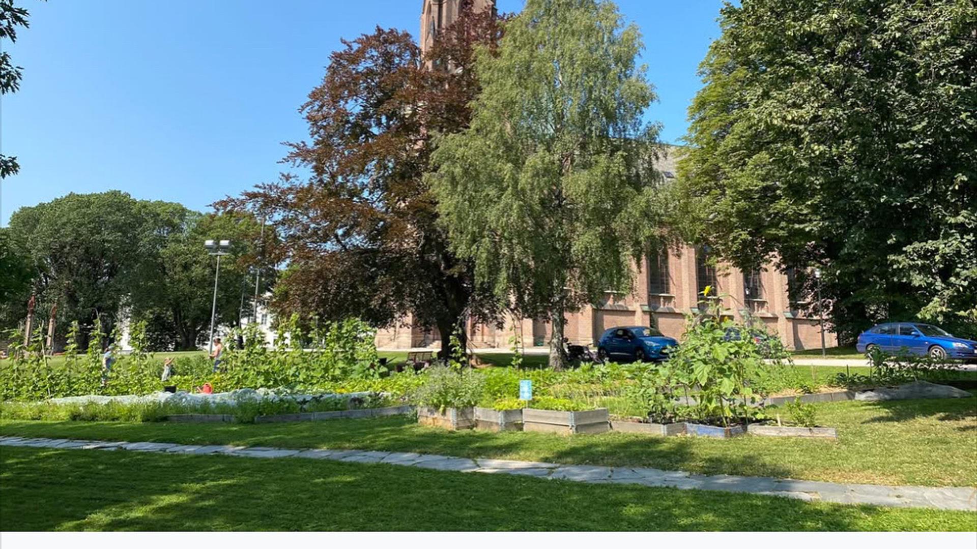 Bragernes samdyrkelag