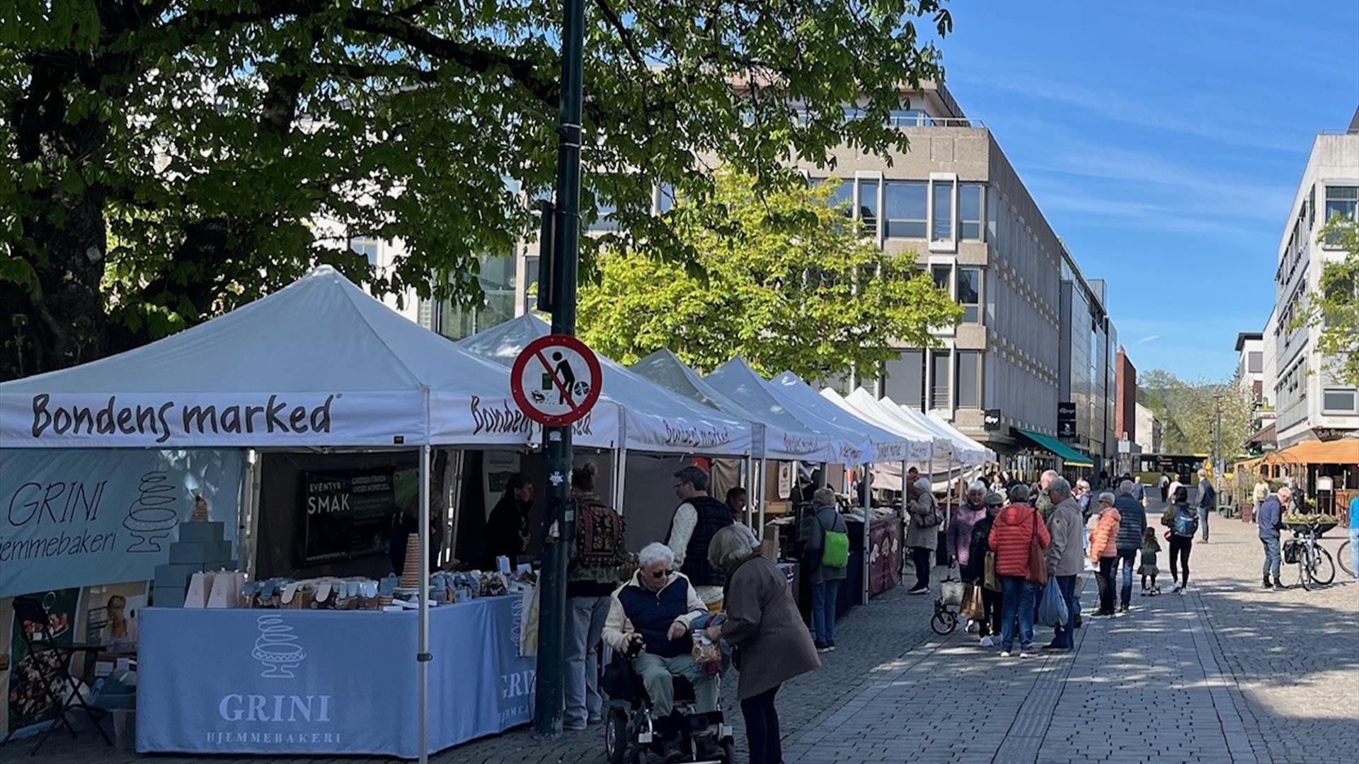Bondens Marked i sol