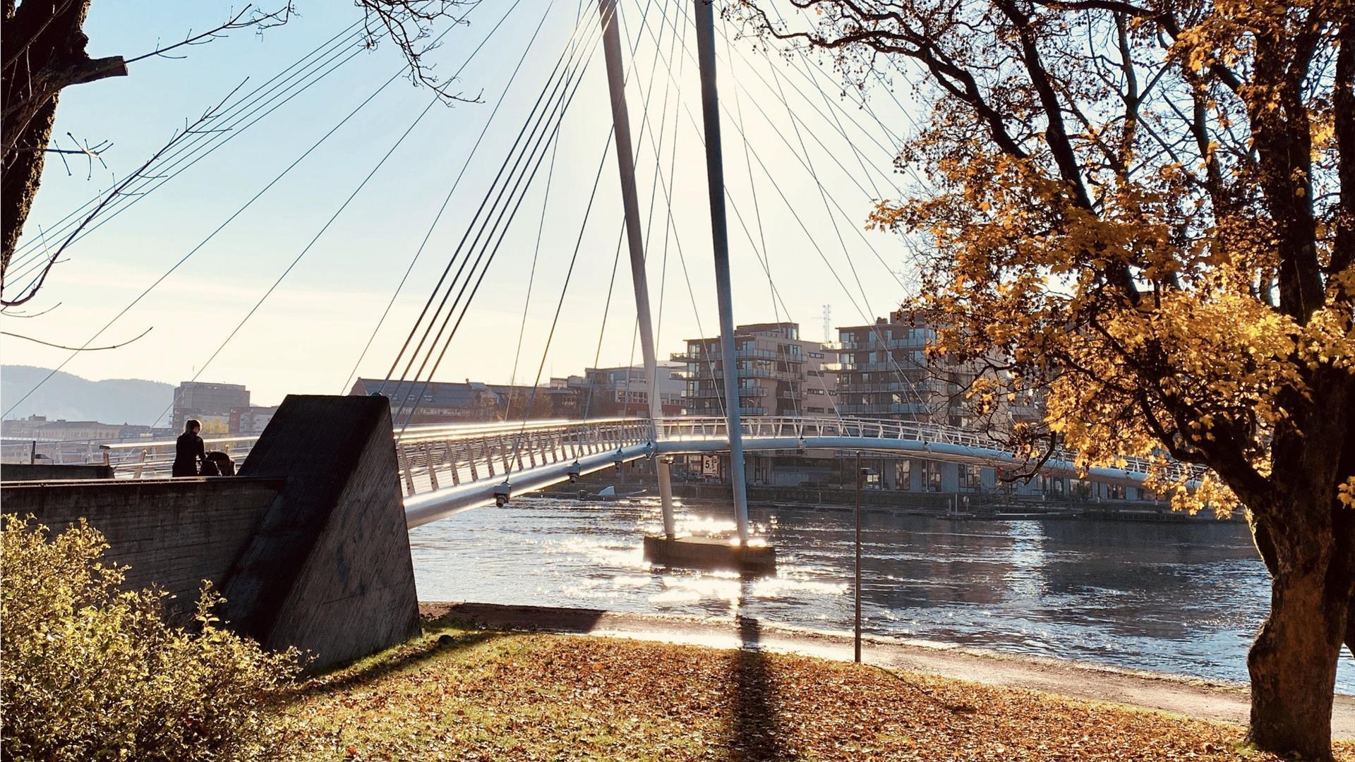 Byvandring; "Elg i soloppgang"
