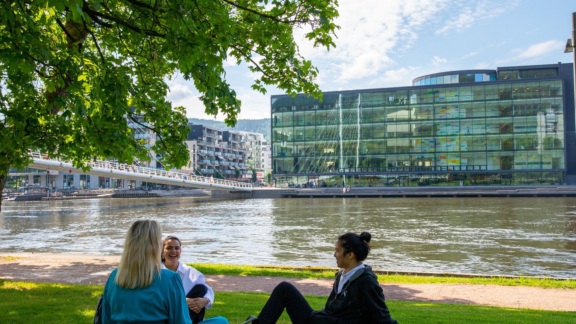 Nærnaturen ved elvebredden i Drammen
