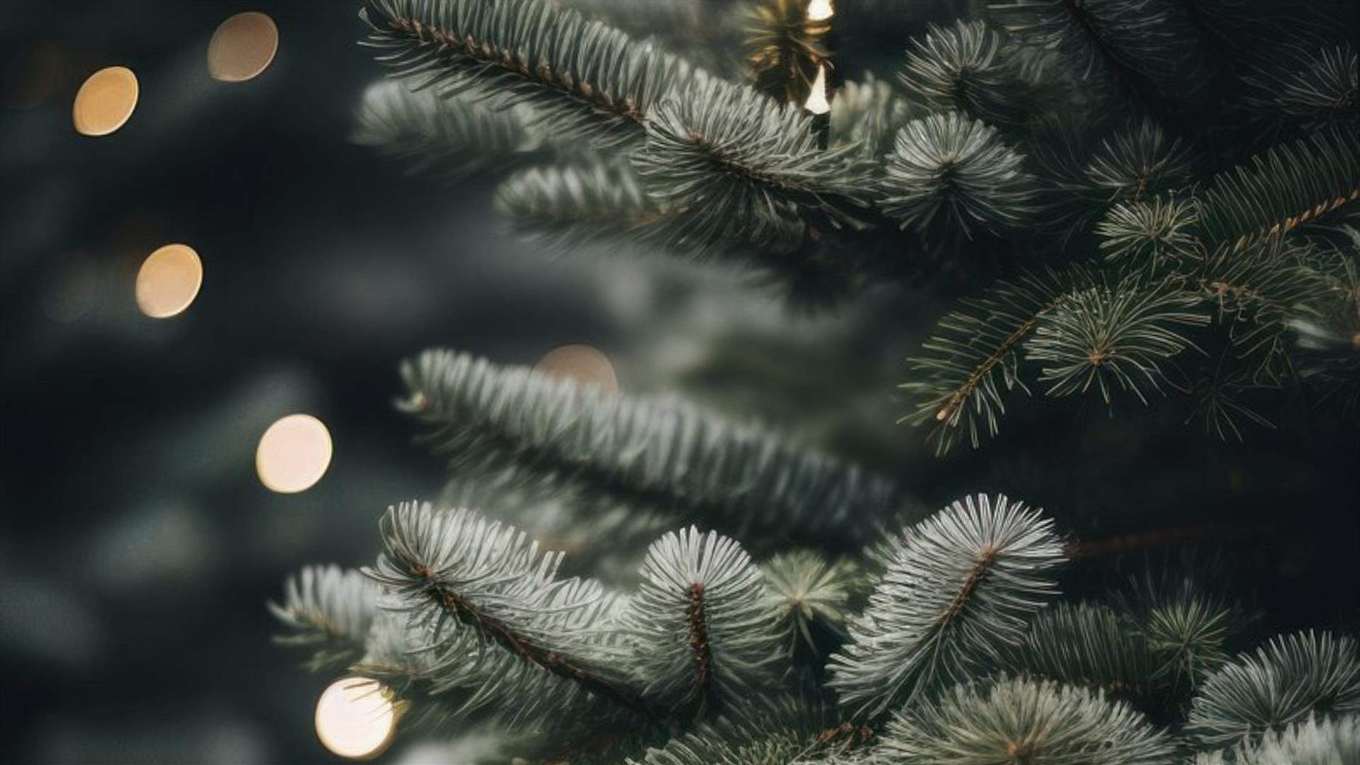 JULEMARKED PÅ DRAMMEN KULTURHUS