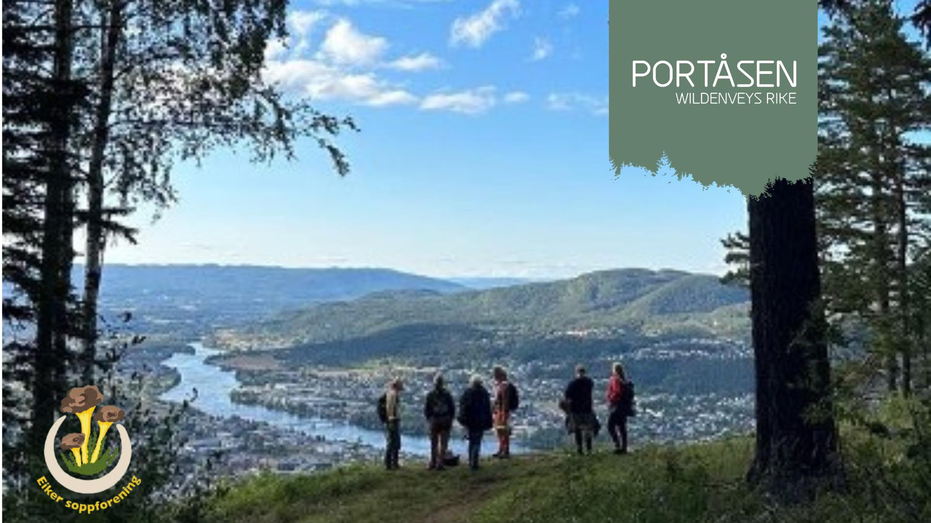 Ut på tur