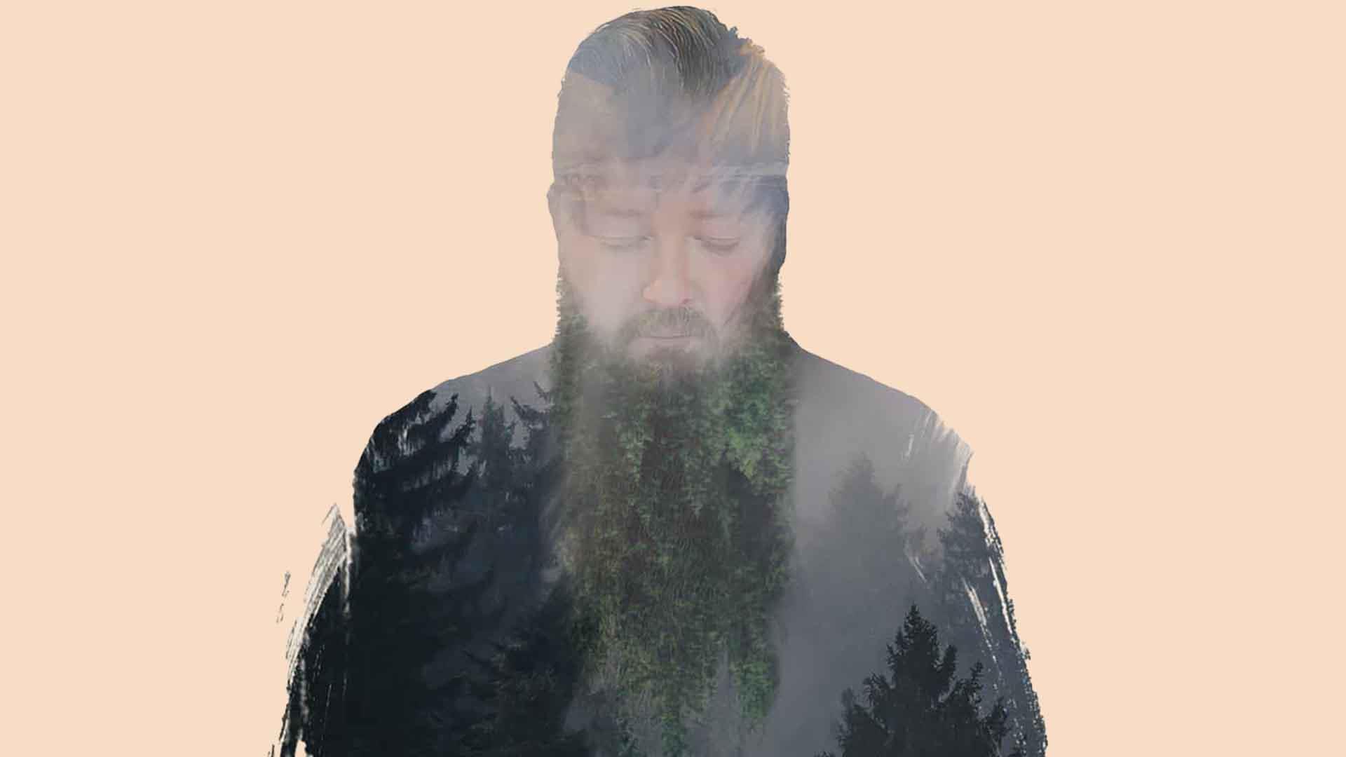 Elderwoods