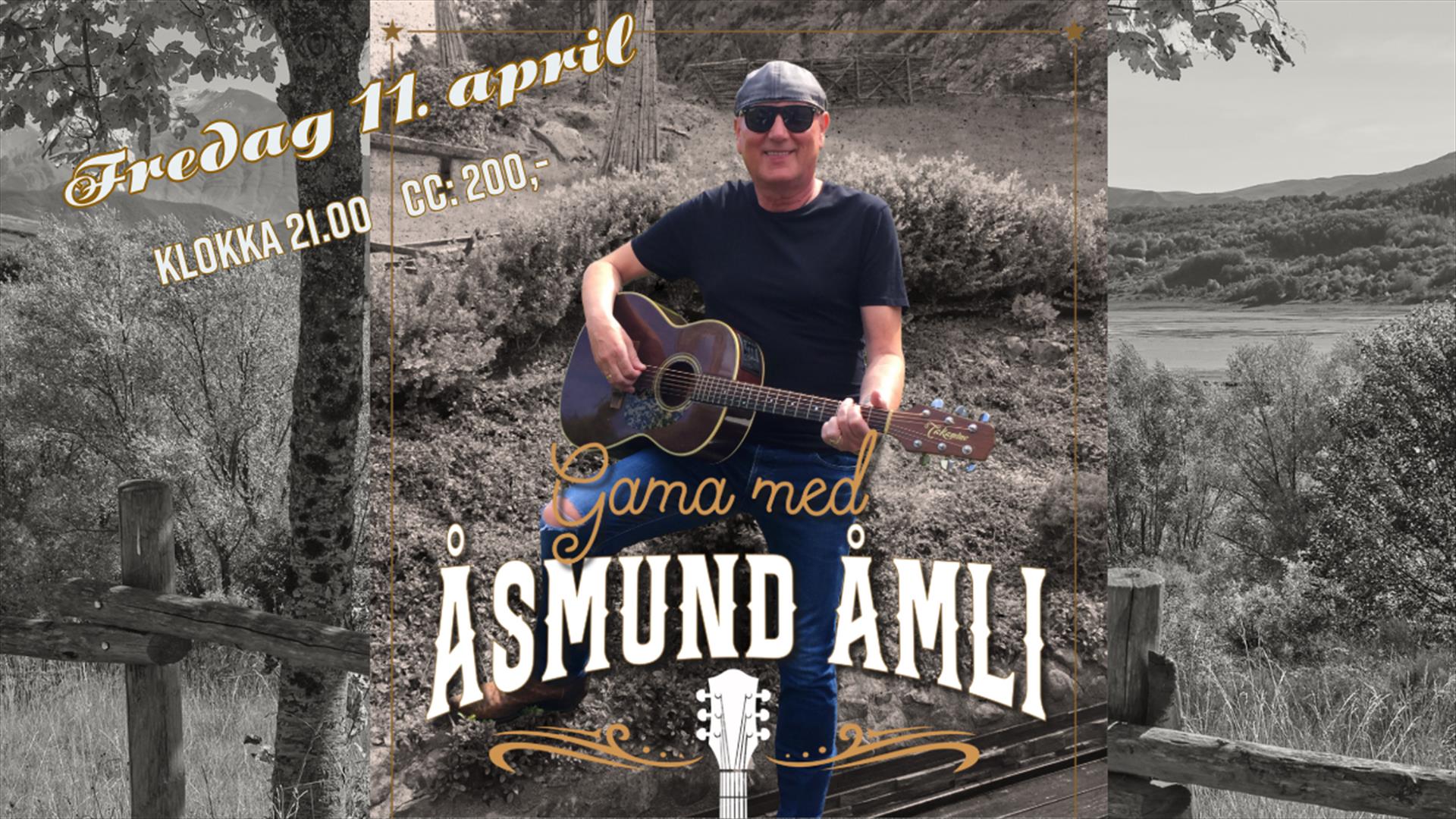 Åmli