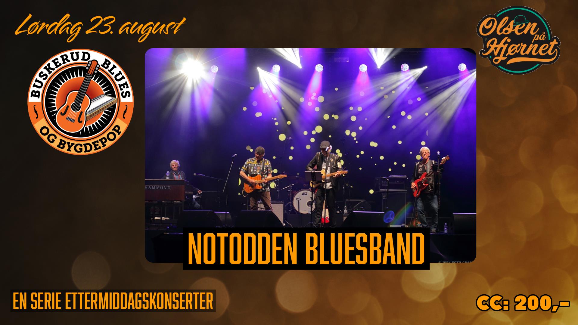 Notodden Bluesband