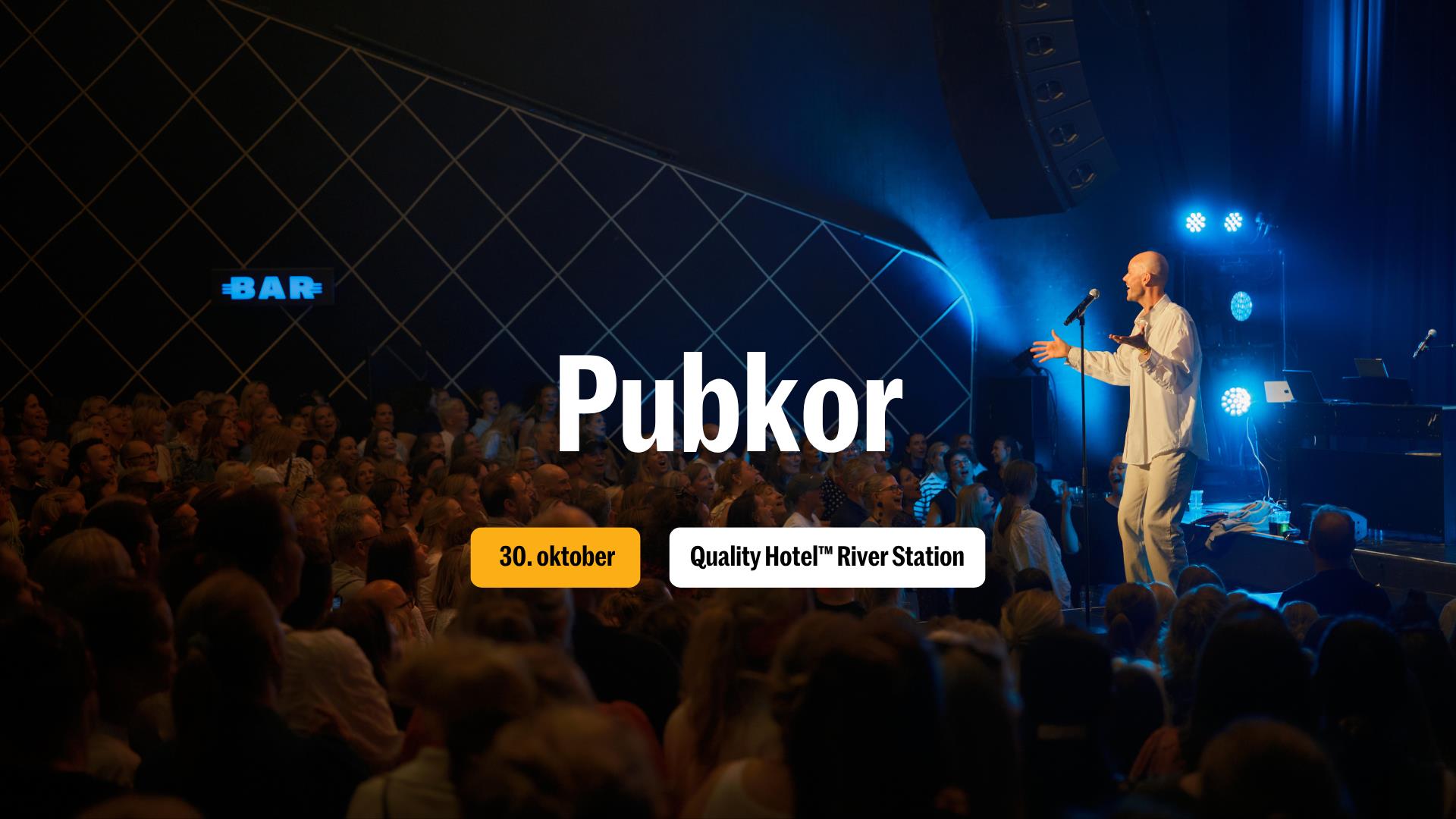 Pubkor i Drammen