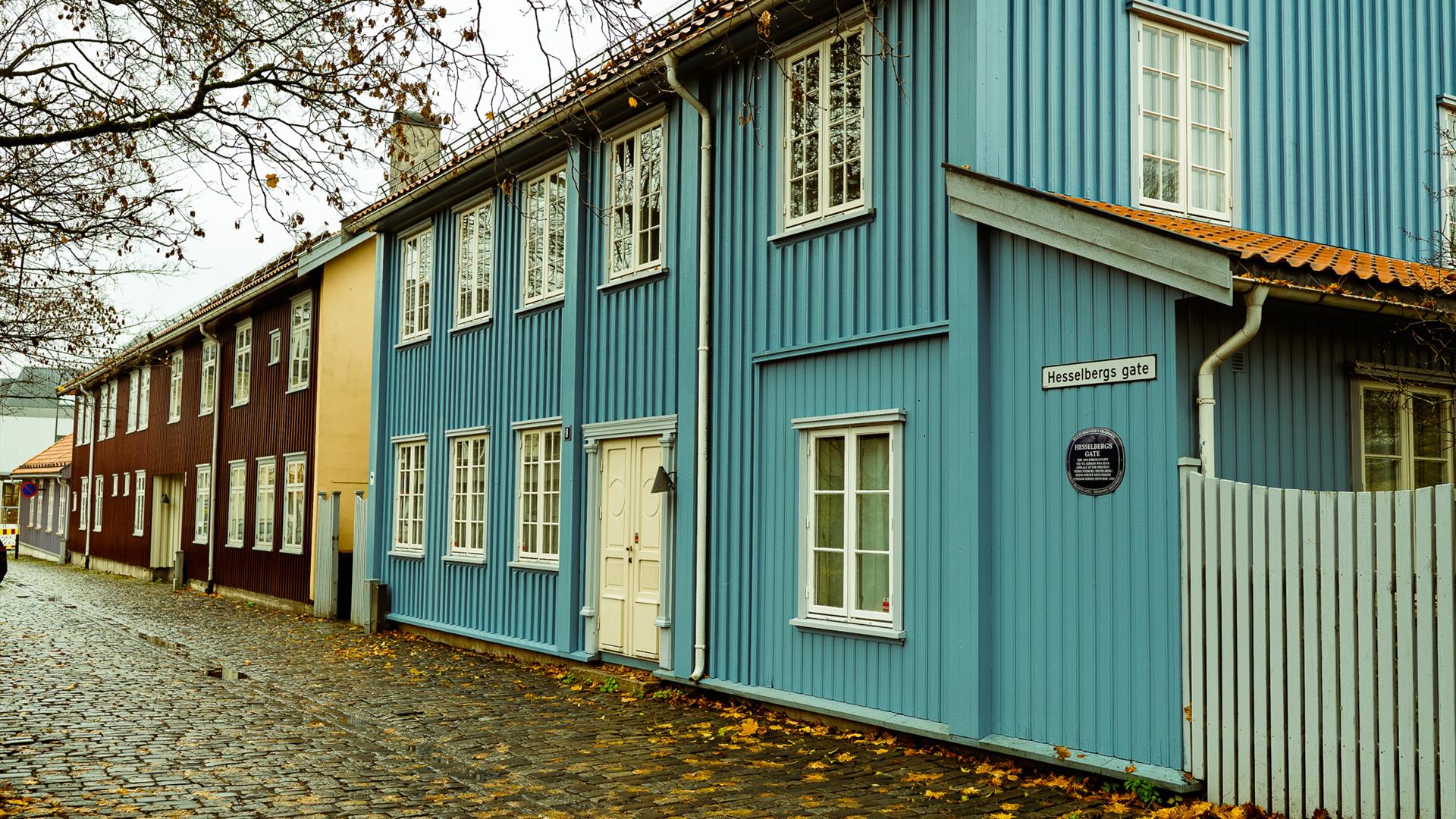 Gratis Byvandring i Gamlebyen på Strømsø