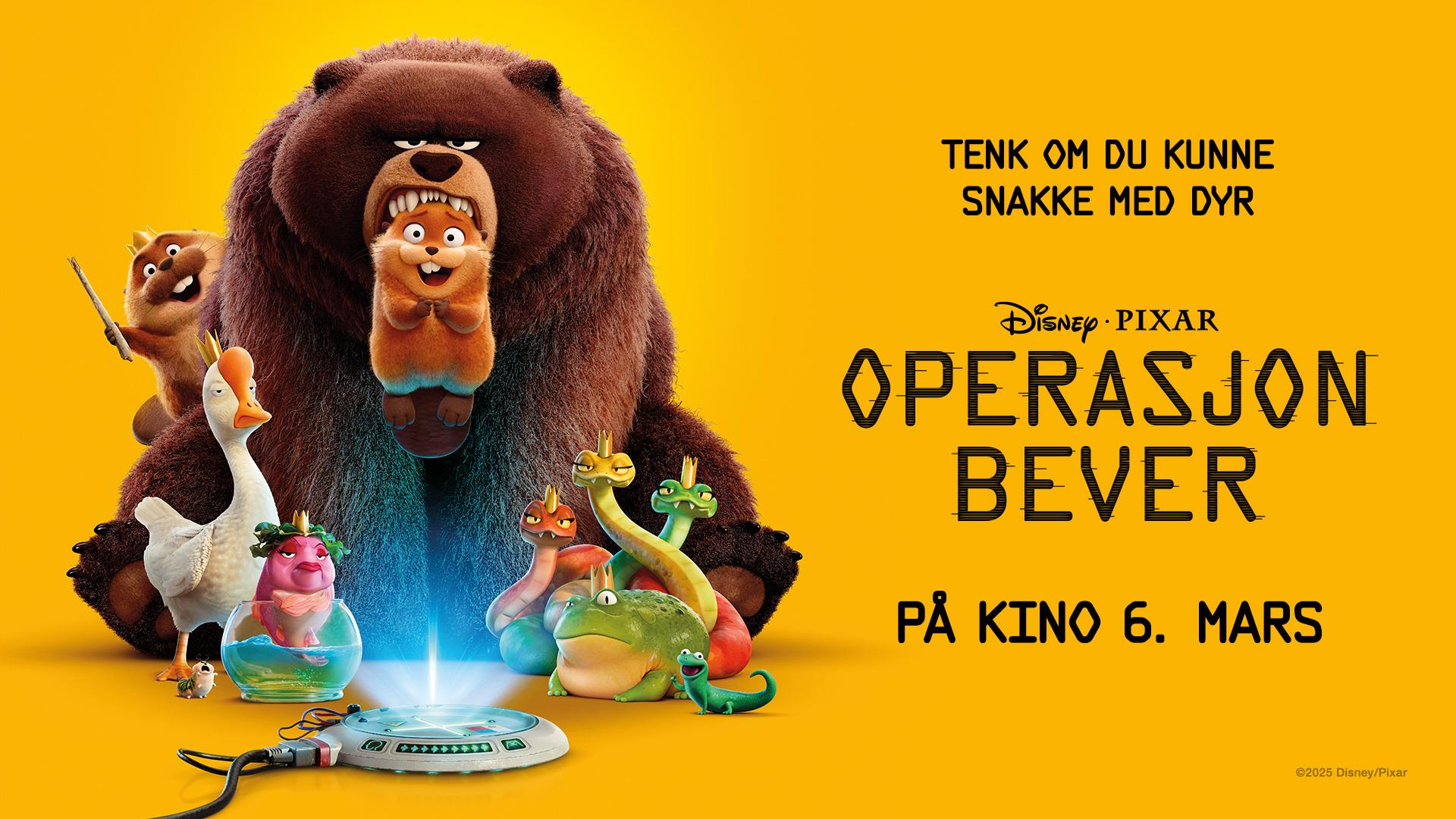 Operasjon bever