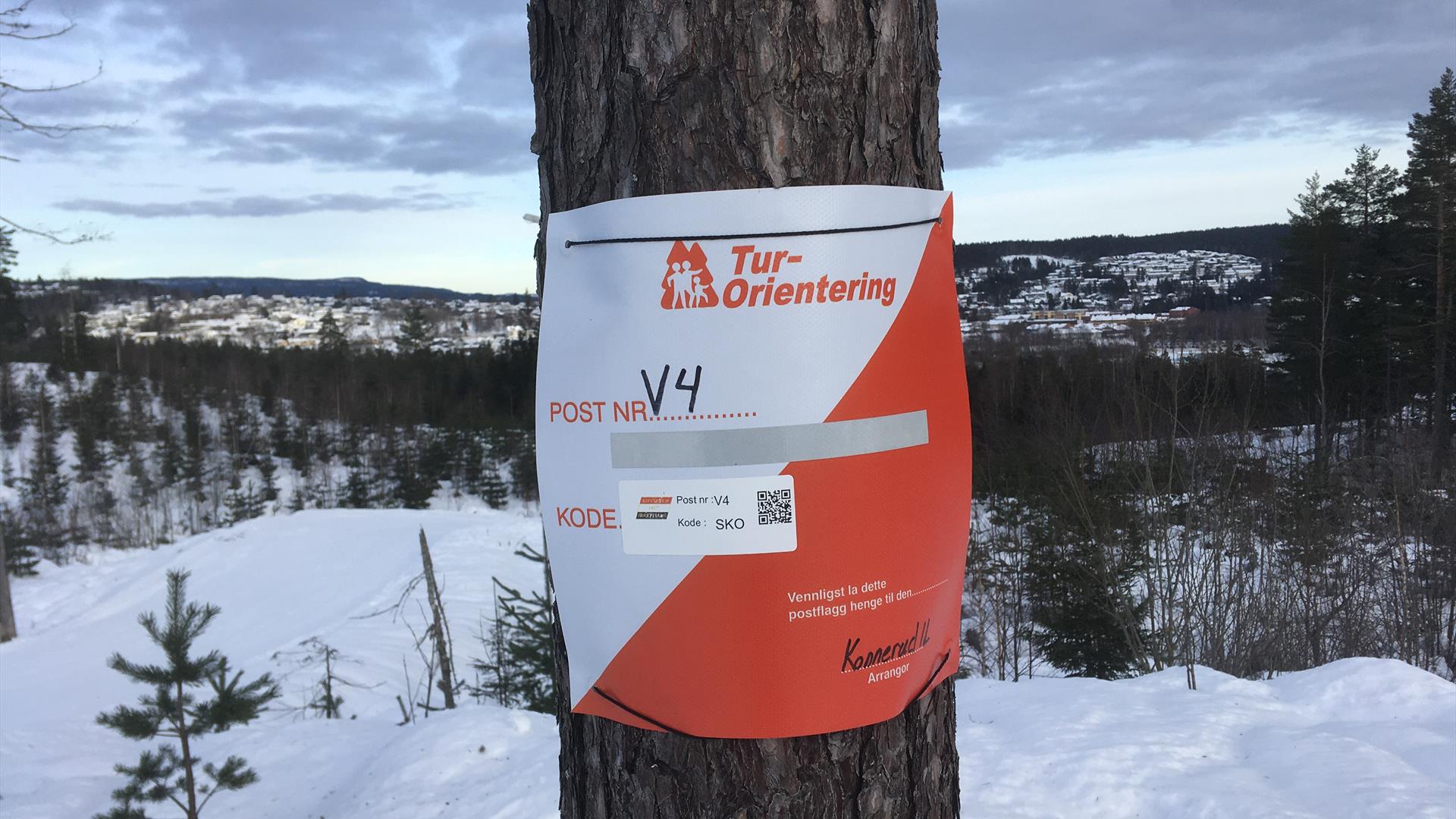 Et vinterlig turmål i Konnerudmarka