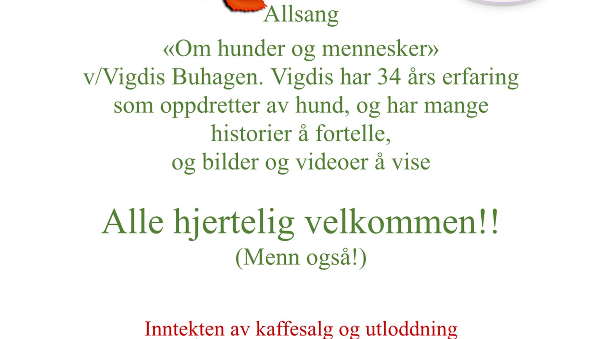 Gustavas hyggekafe