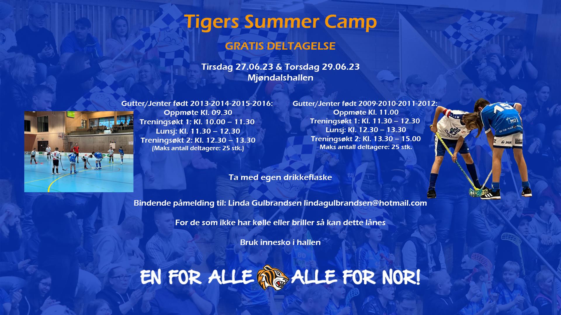 Meld deg på gratis innebandyskole i juni!