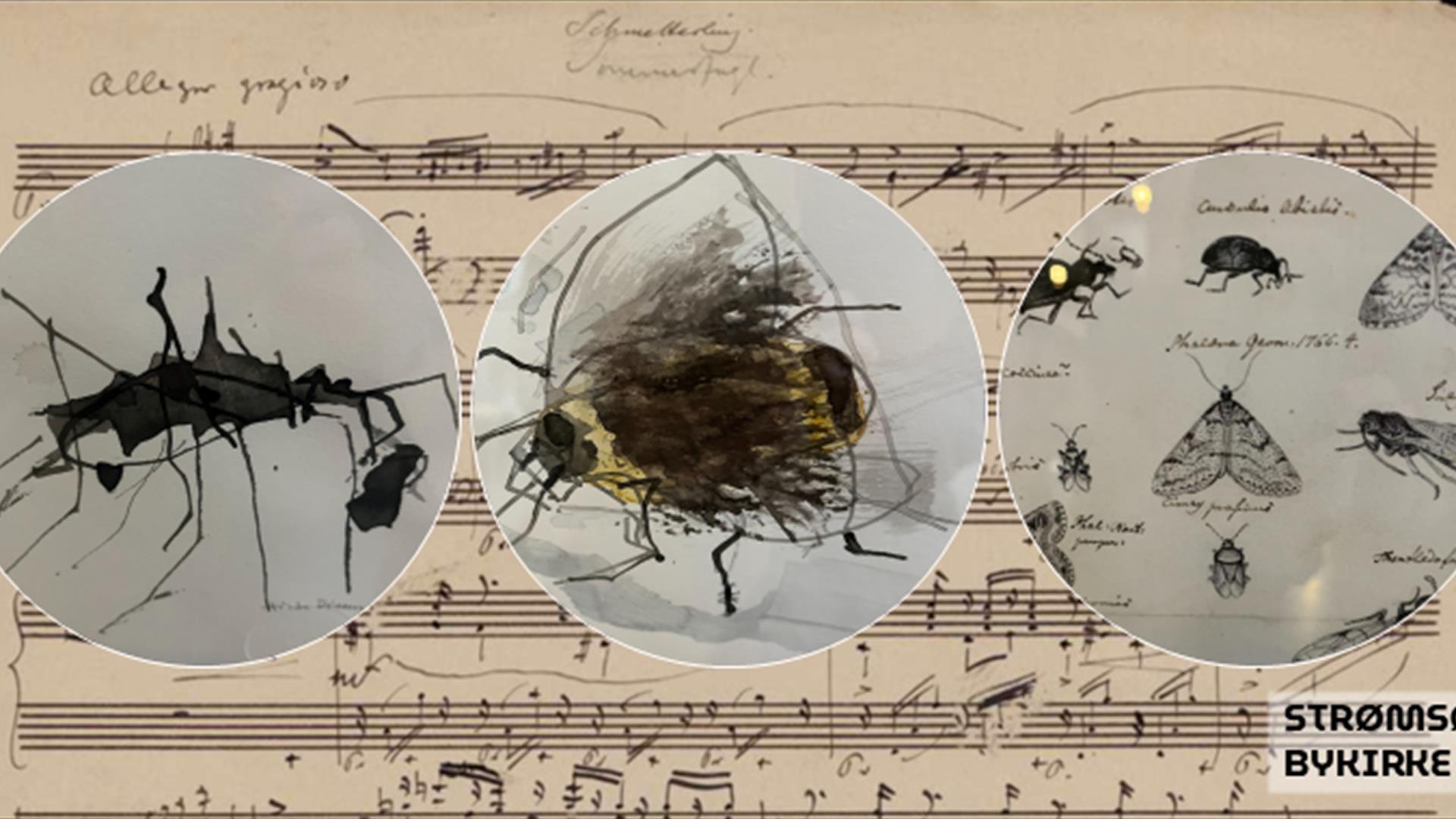 Insekter i musikkhistorien