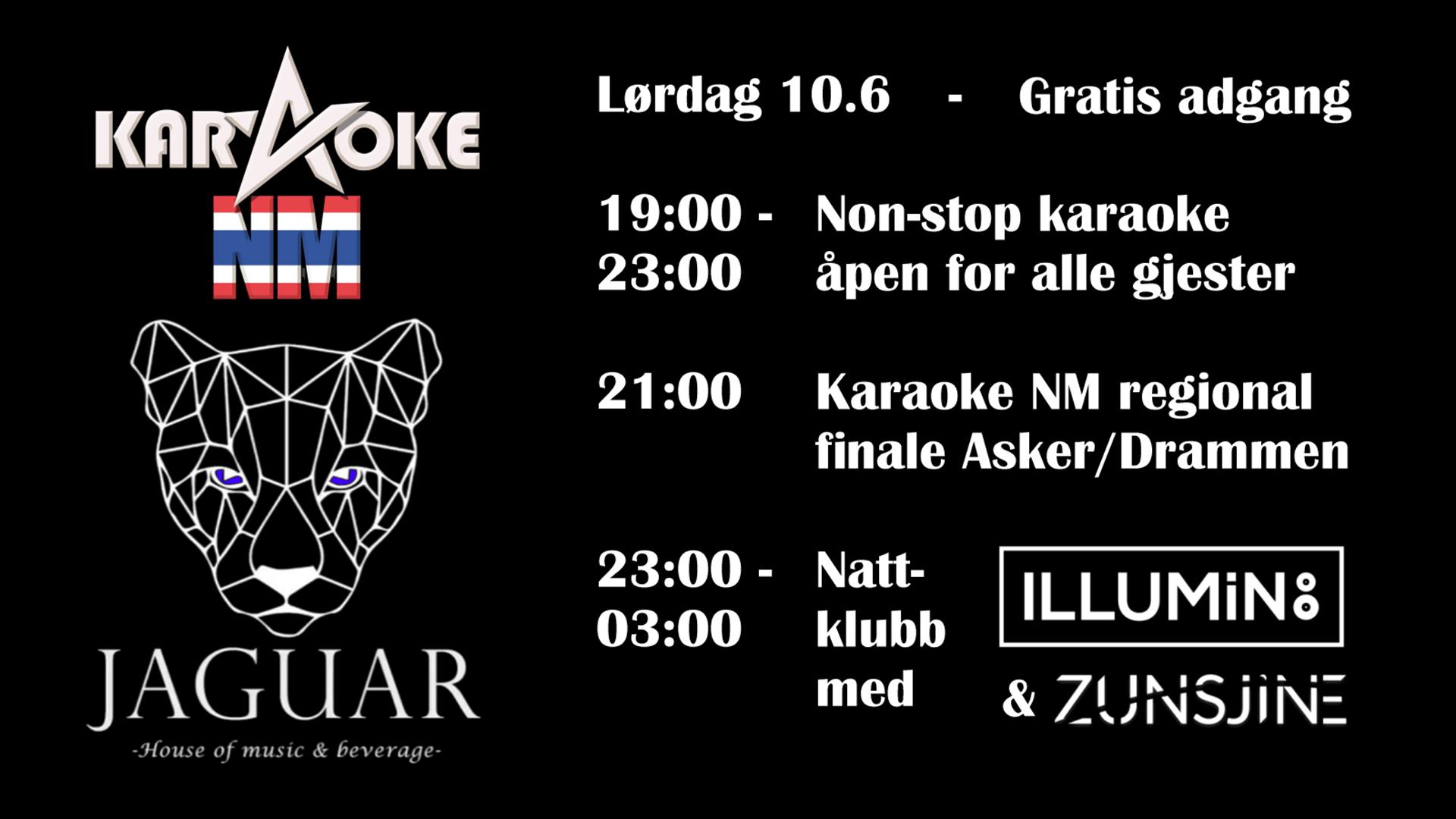 Karaoke NM regional finale