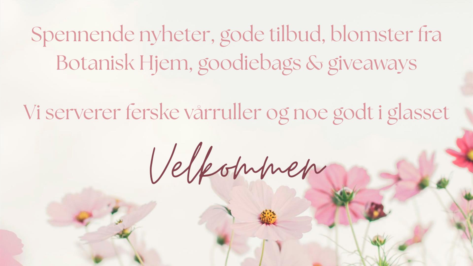 Bilde 1