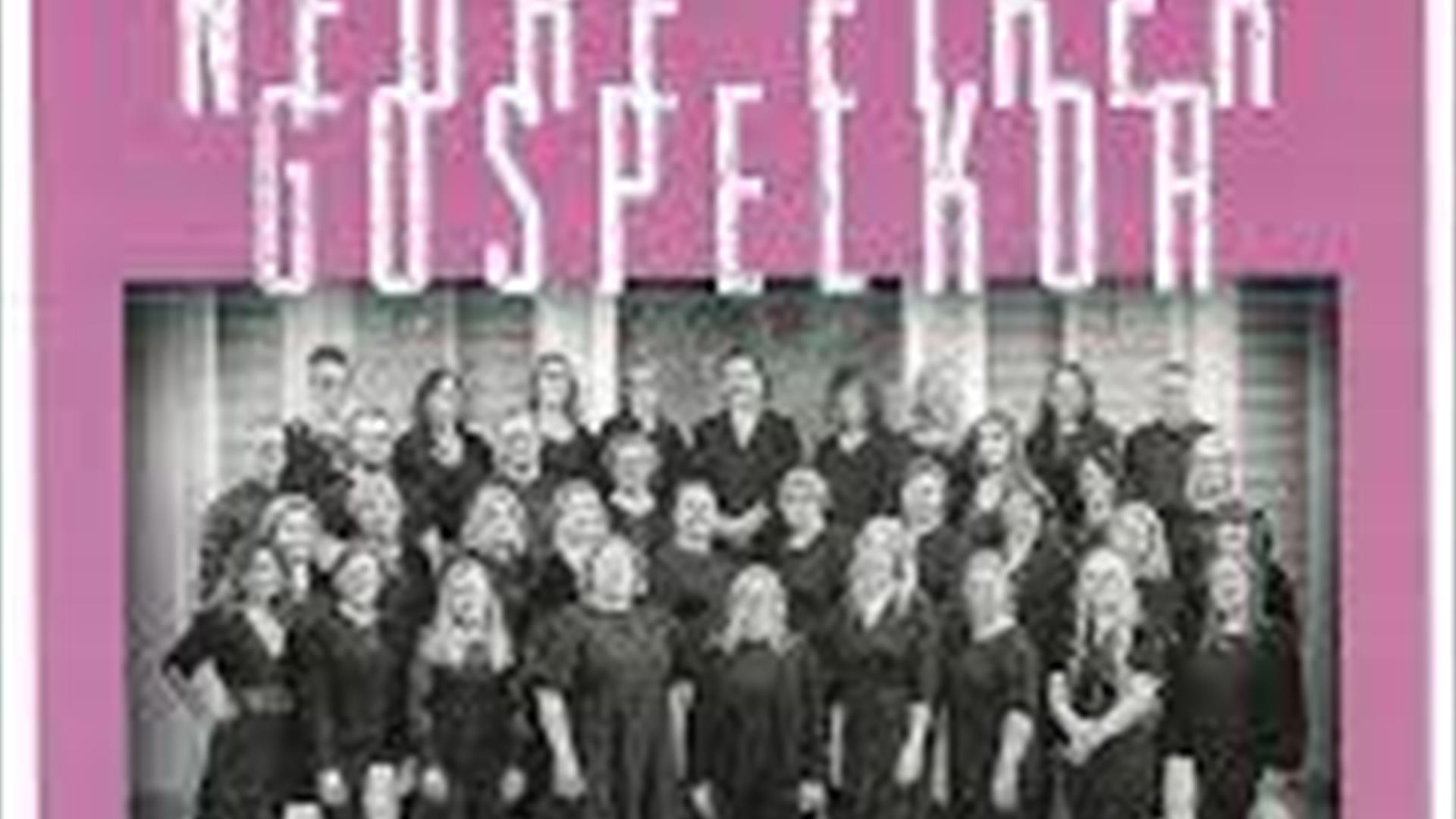 Nedre Eiker Gospelkor