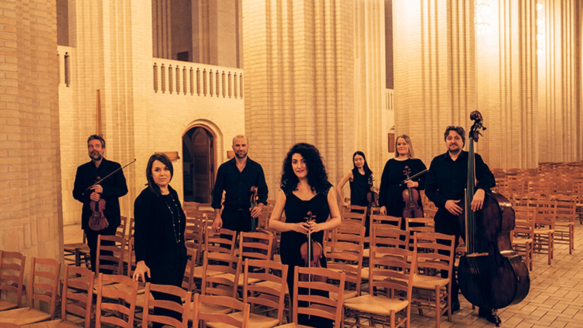 Scandinavian Chamber Soloists. Foto: Anne Mortensen