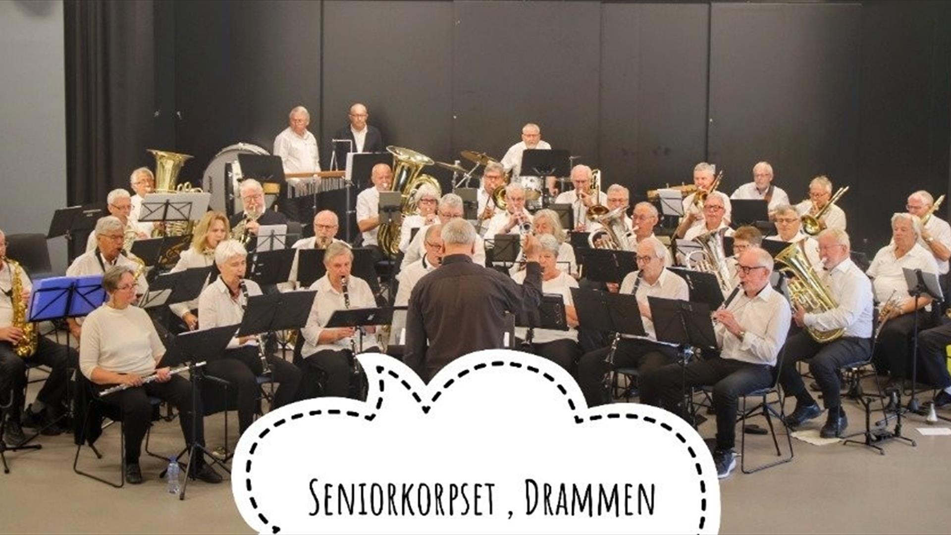 Seniorkorpset