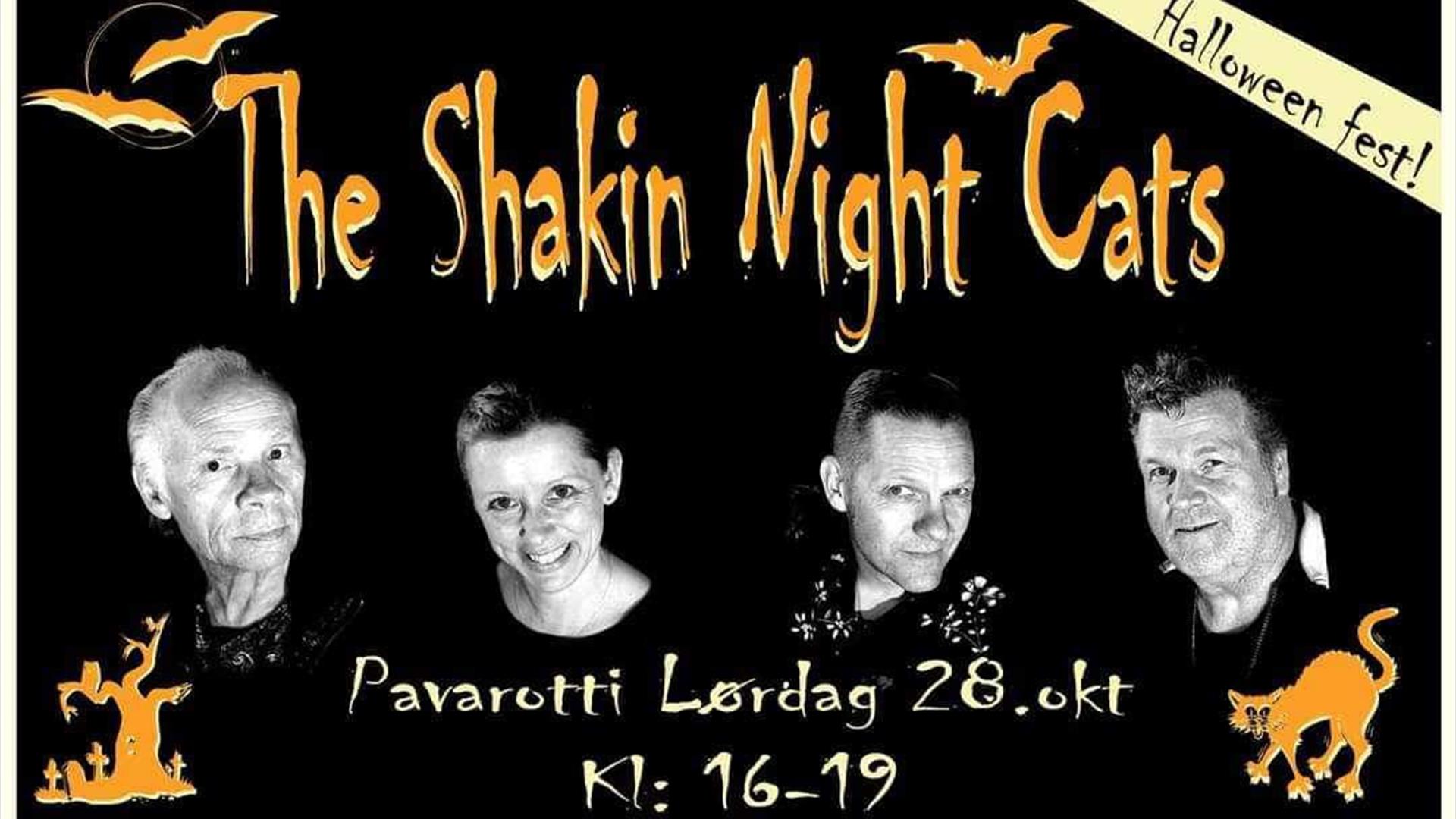Shakin Night Cats