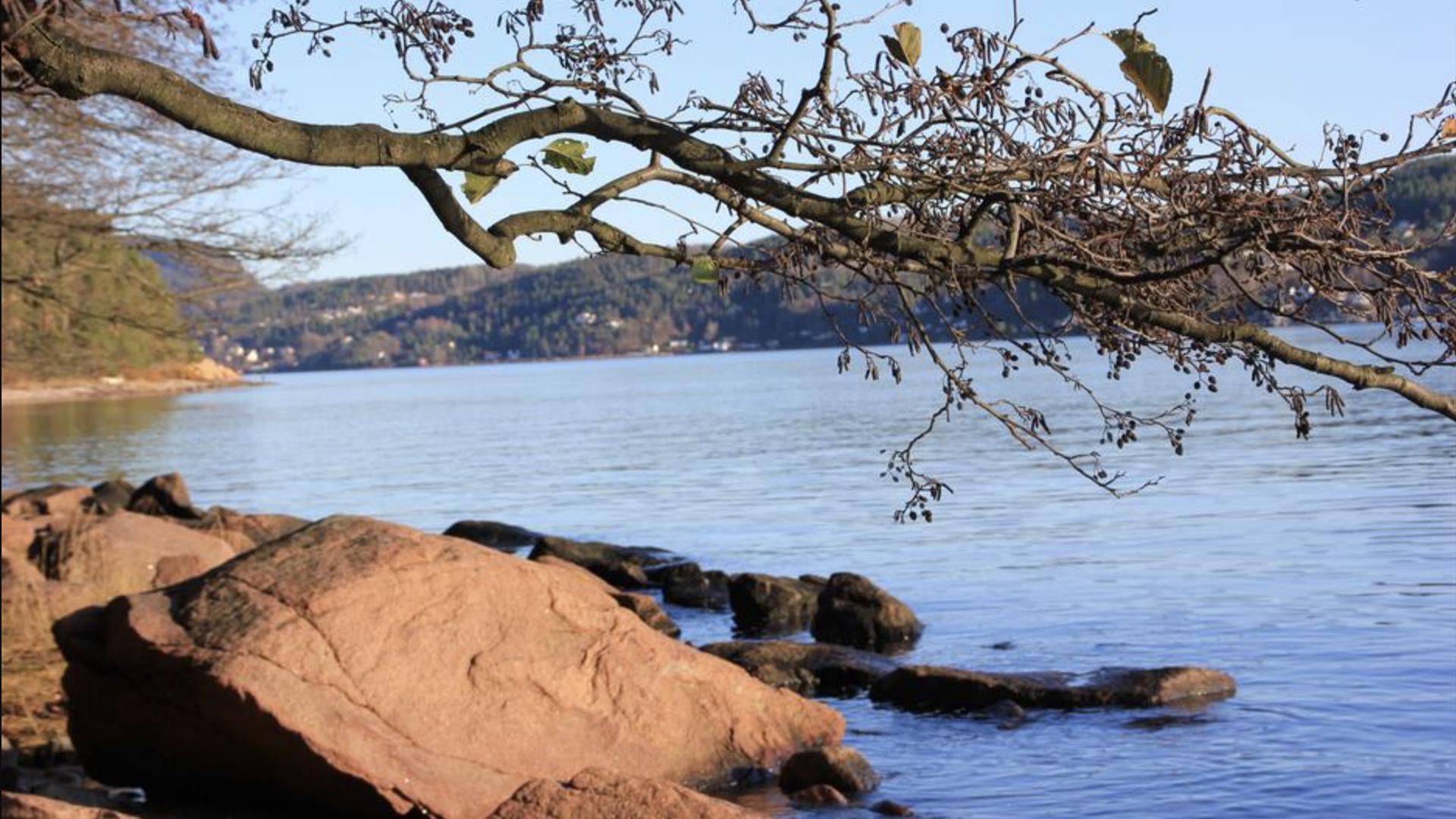Kyststien Svelvik